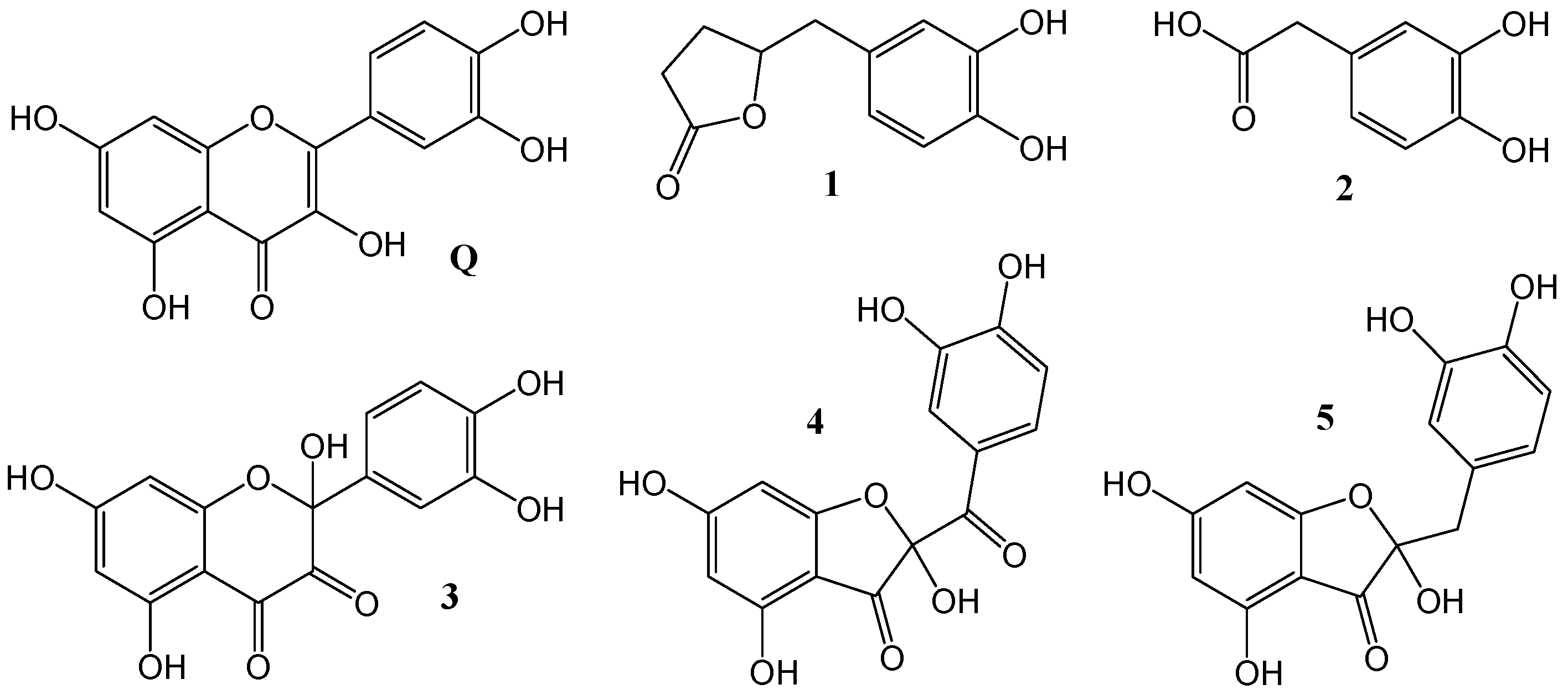 Antioxidants 12 01154 g001
