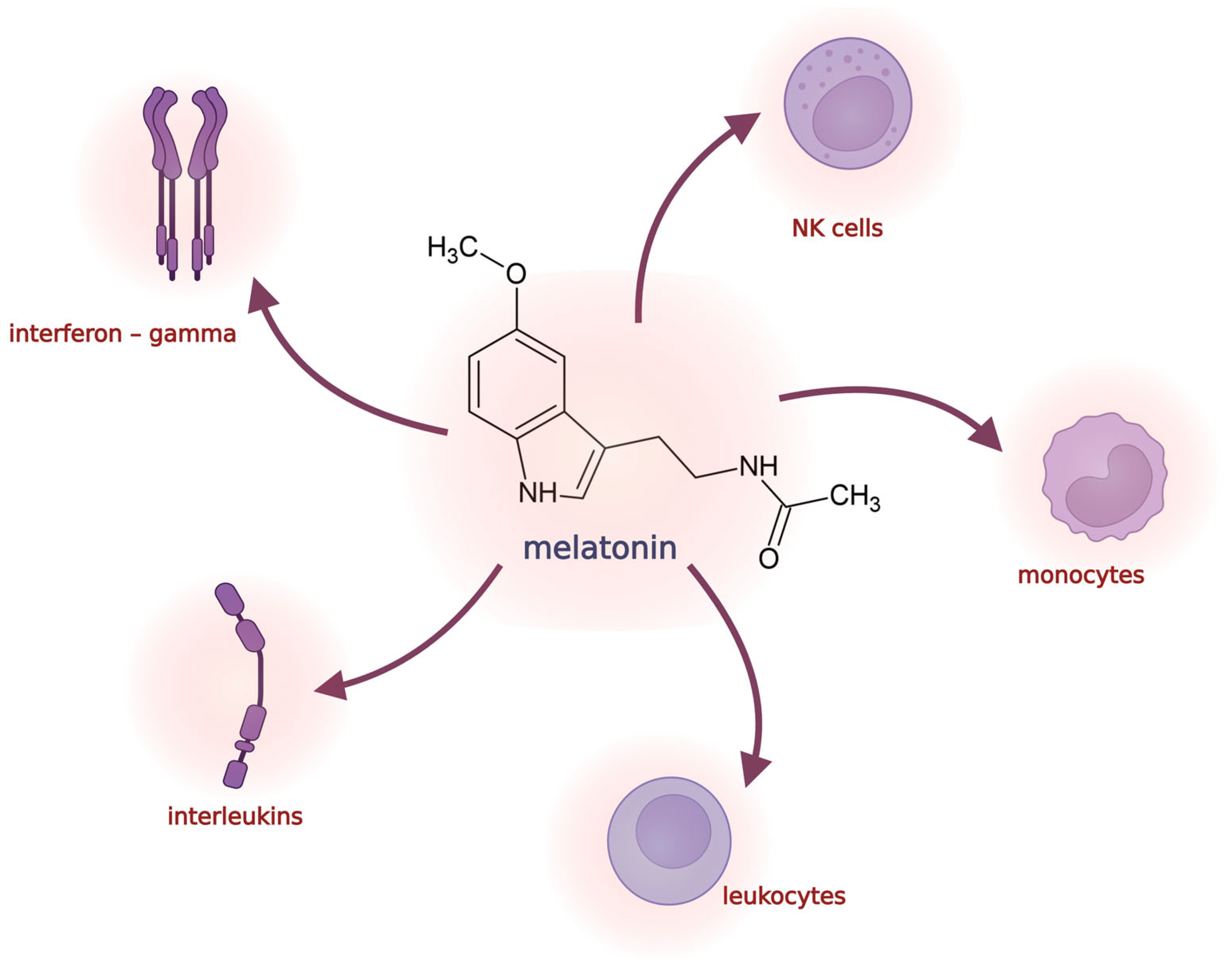 Antioxidants 12 01155 g002 Antioxidants 12 01155 g002
