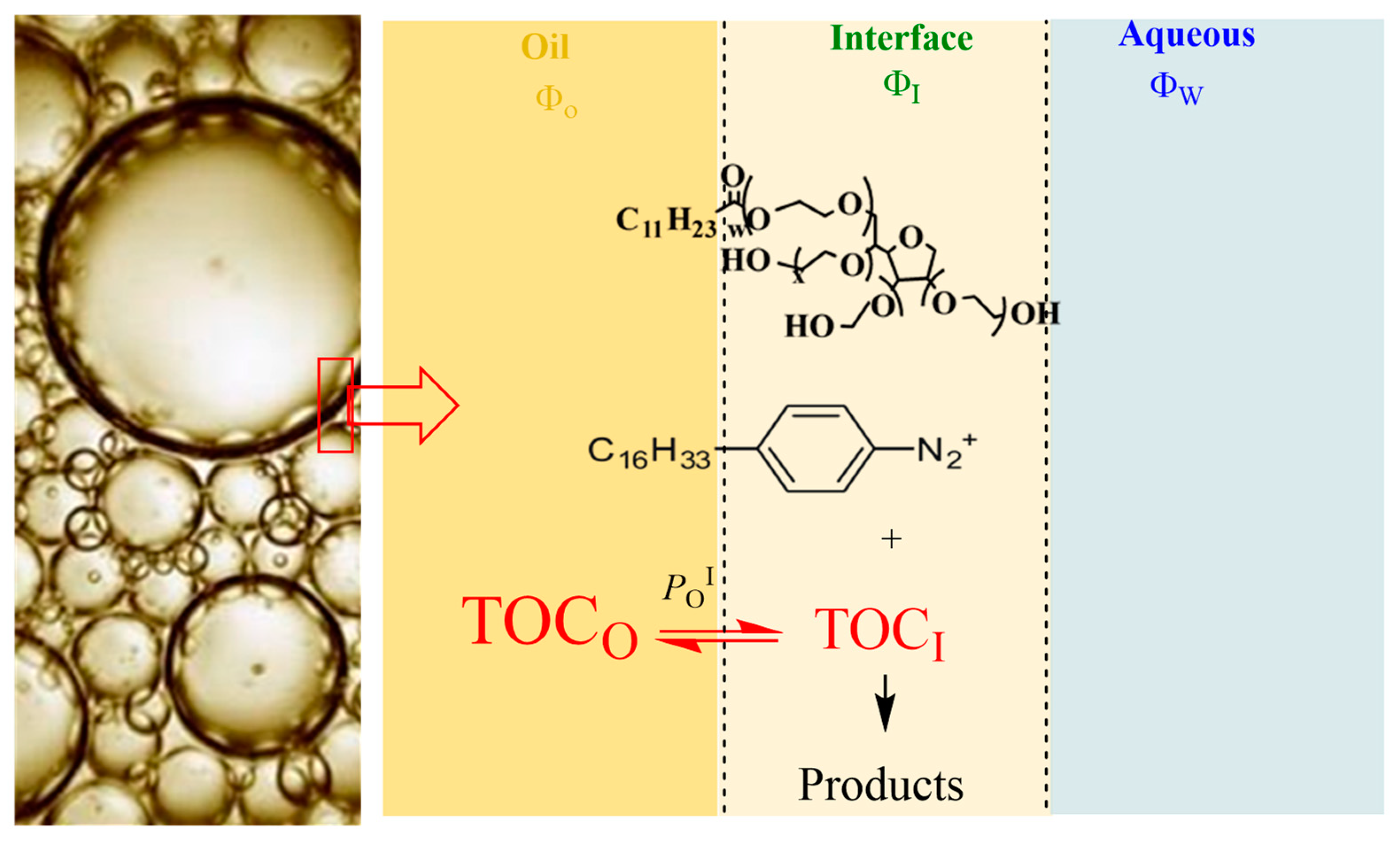 Antioxidants 12 01158 g003