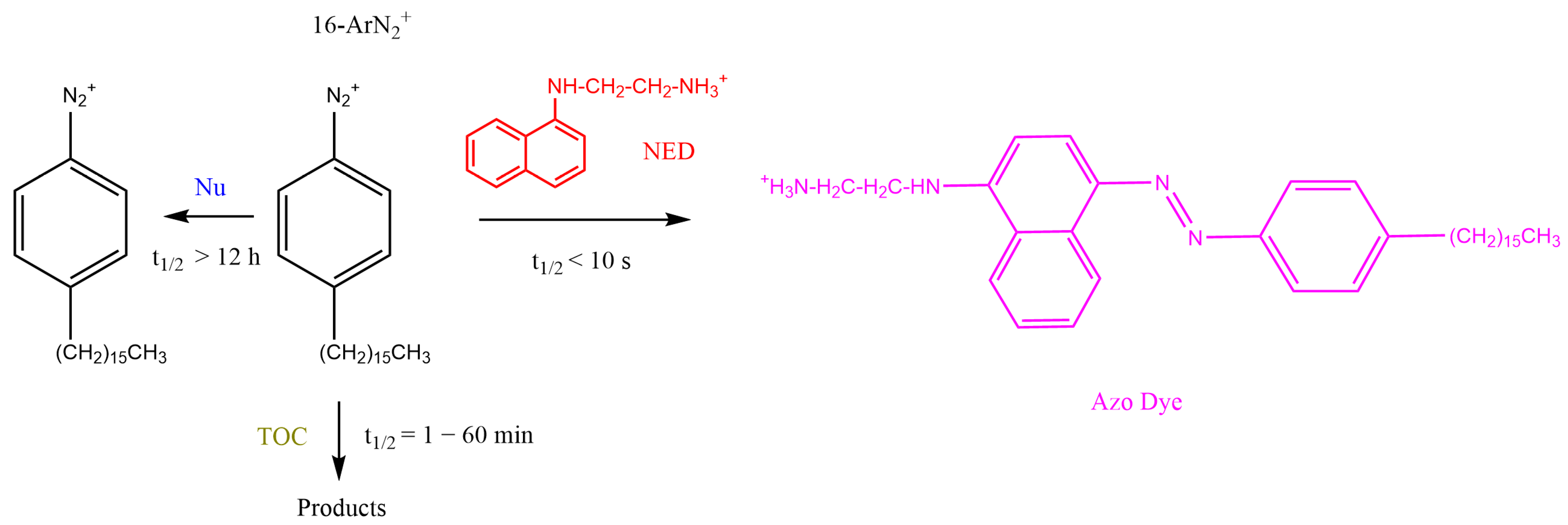 Antioxidants 12 01158 g004