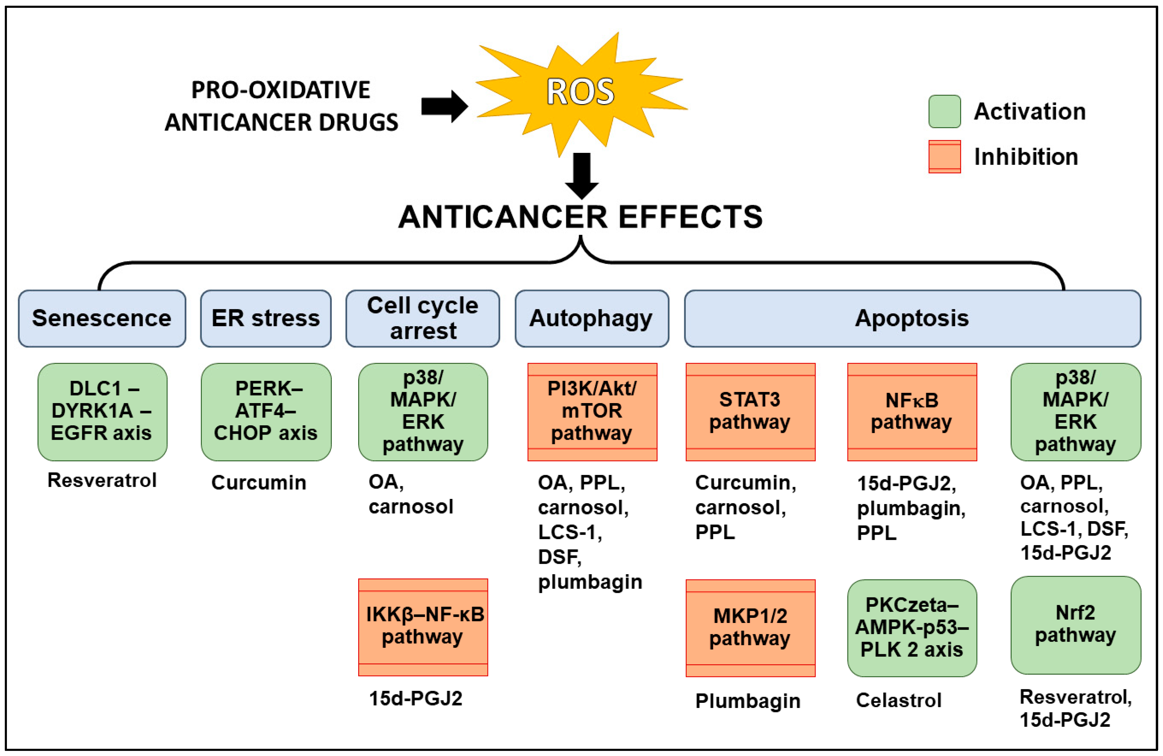 Antioxidants 12 01159 g003