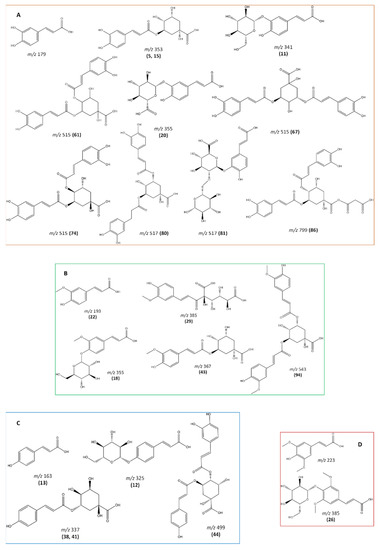 Antioxidants 12 01161 g0a1