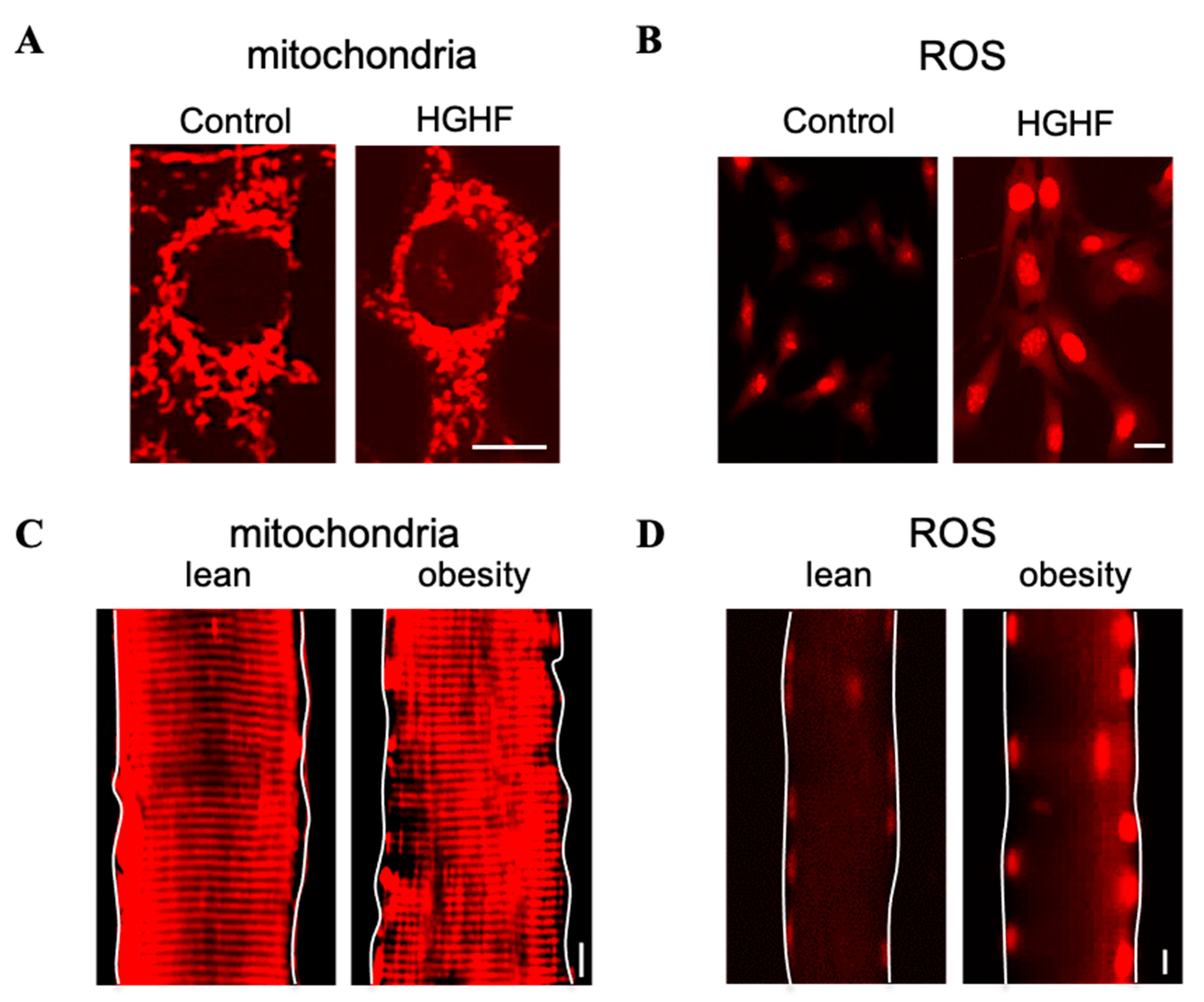Antioxidants 12 01163 g003