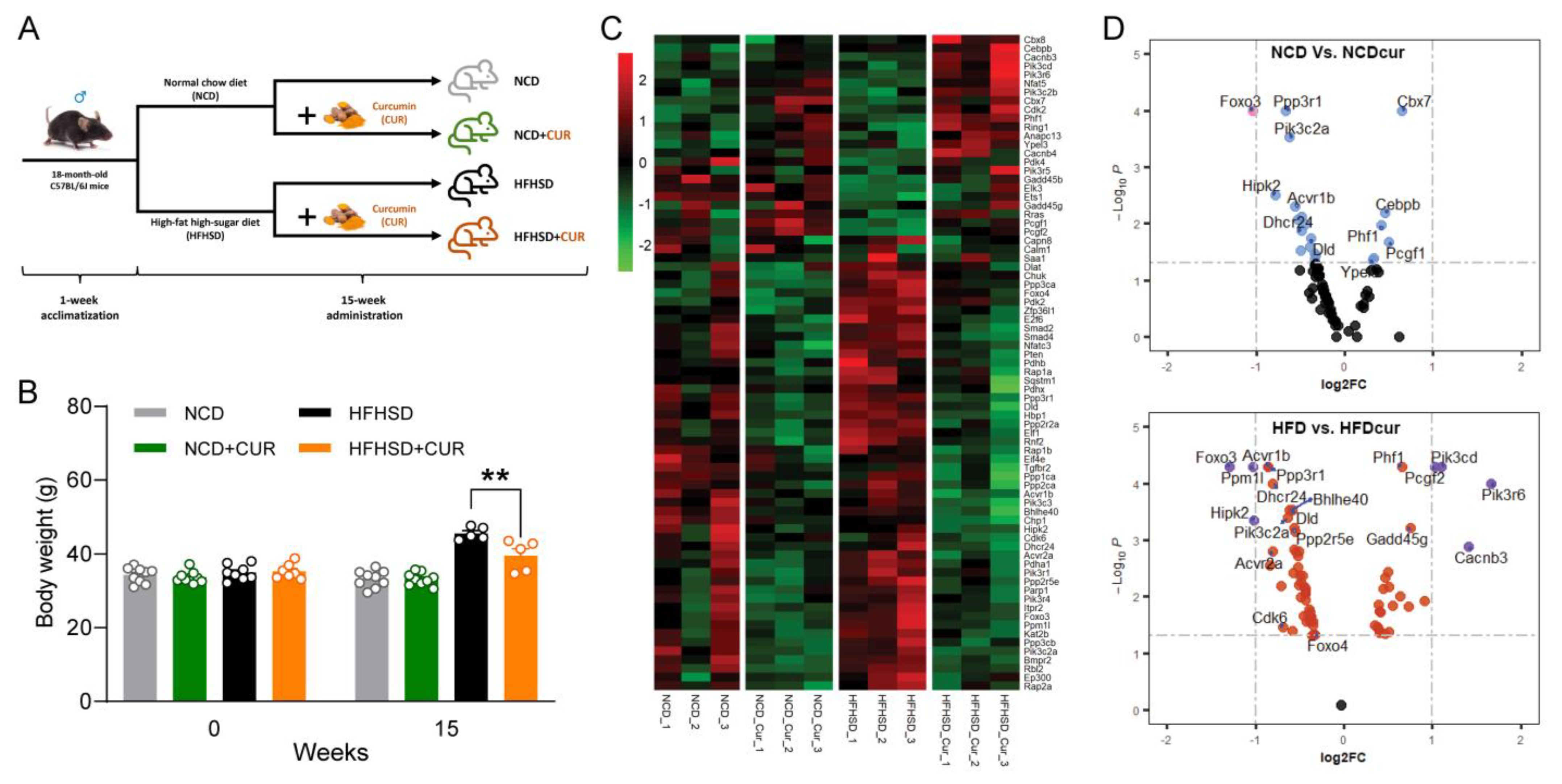 Antioxidants 12 01165 g001