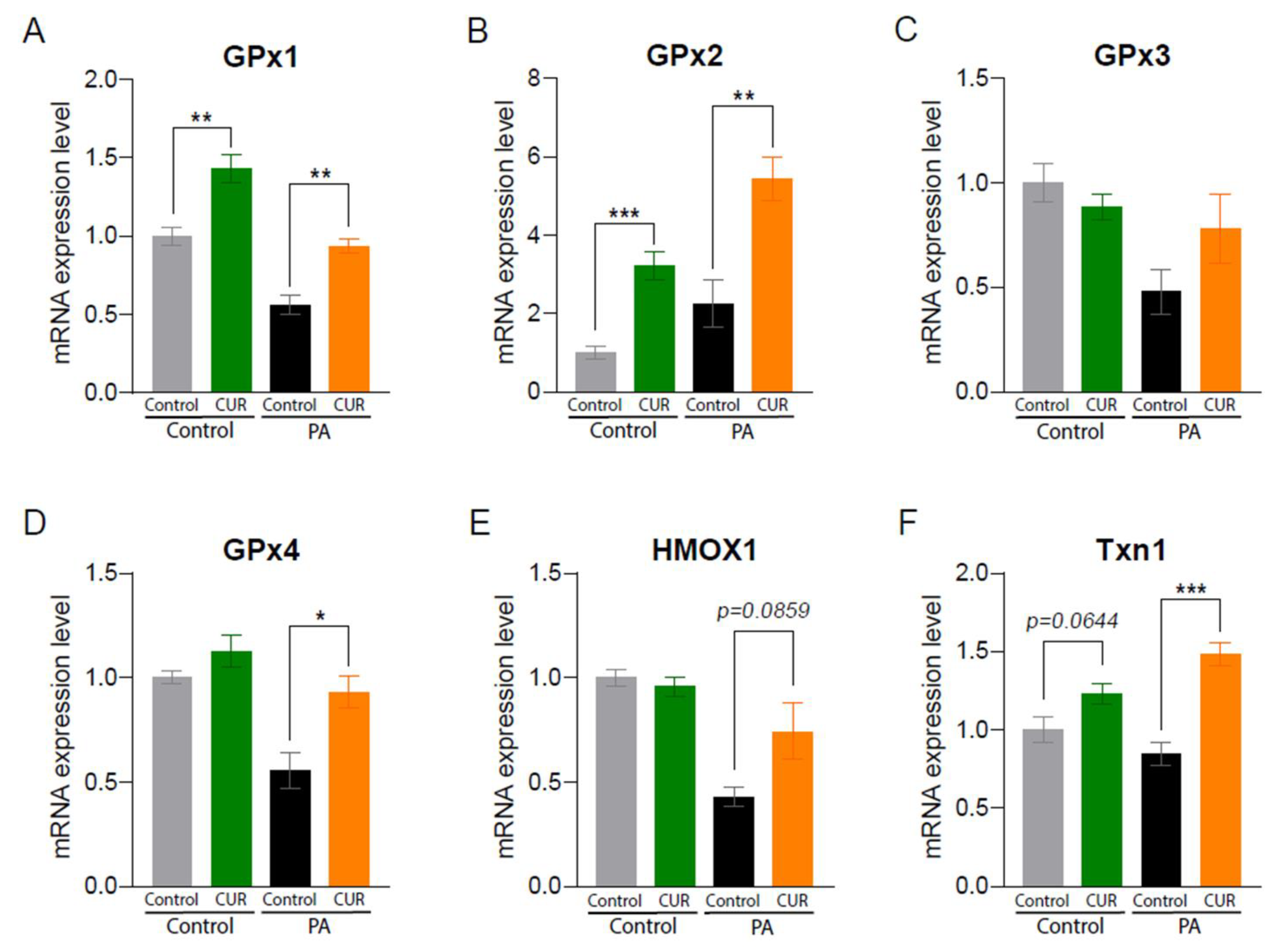 Antioxidants 12 01165 g003