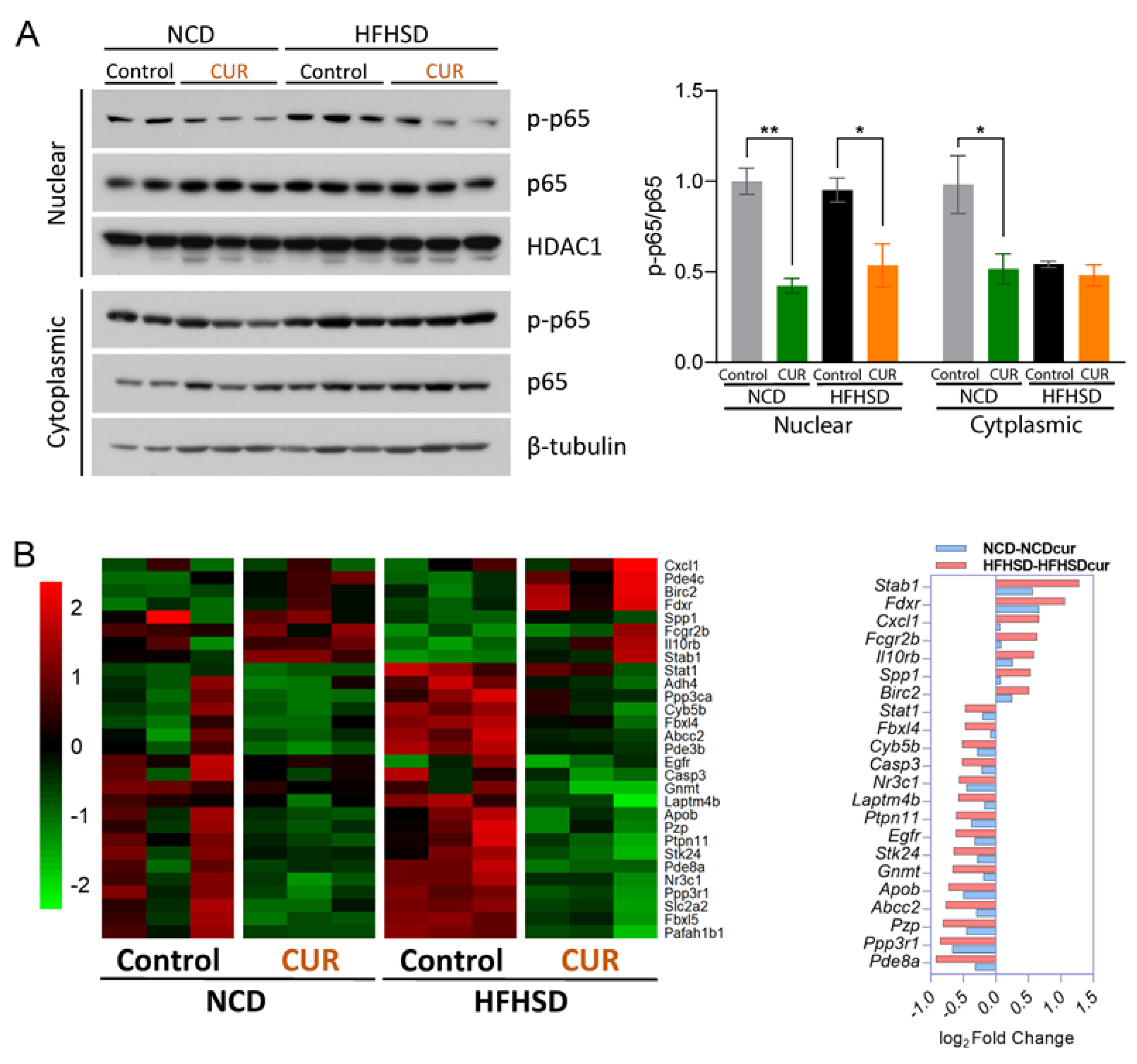 Antioxidants 12 01165 g005