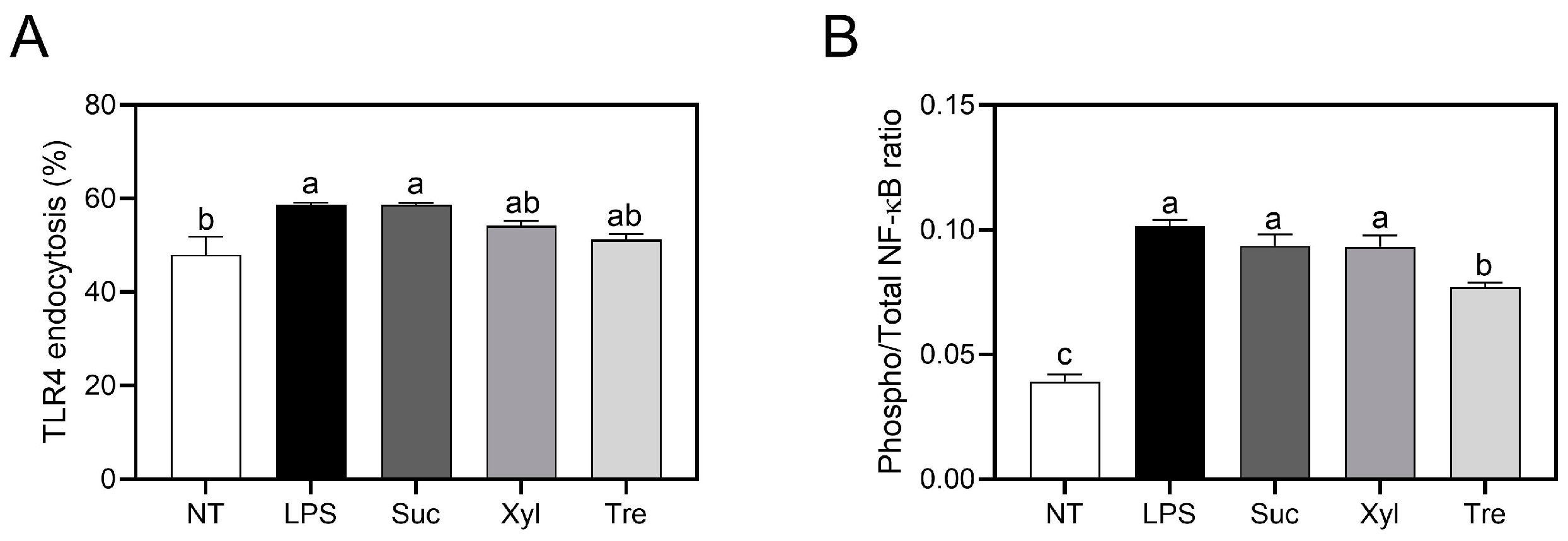 Antioxidants 12 01166 g003