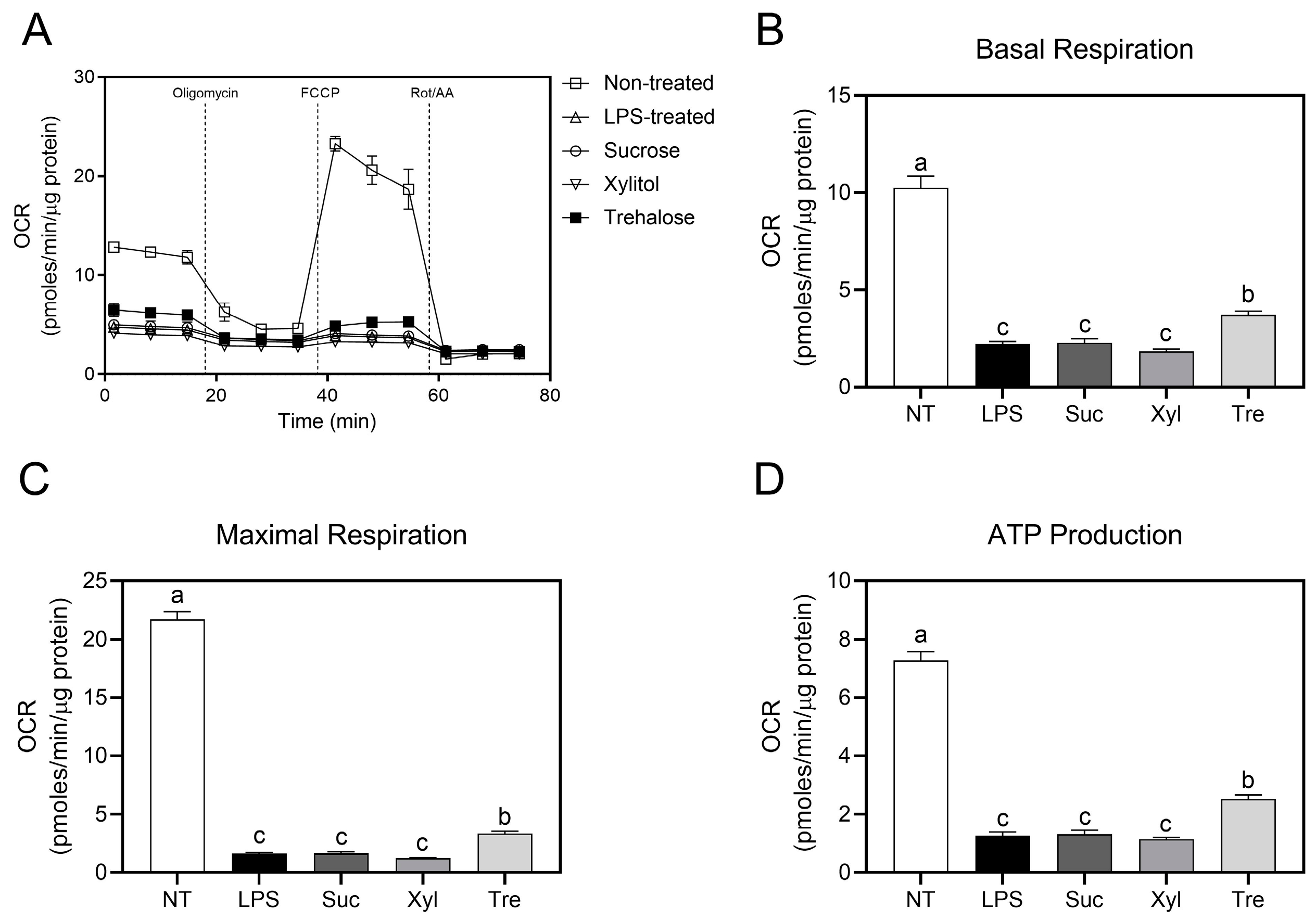 Antioxidants 12 01166 g004