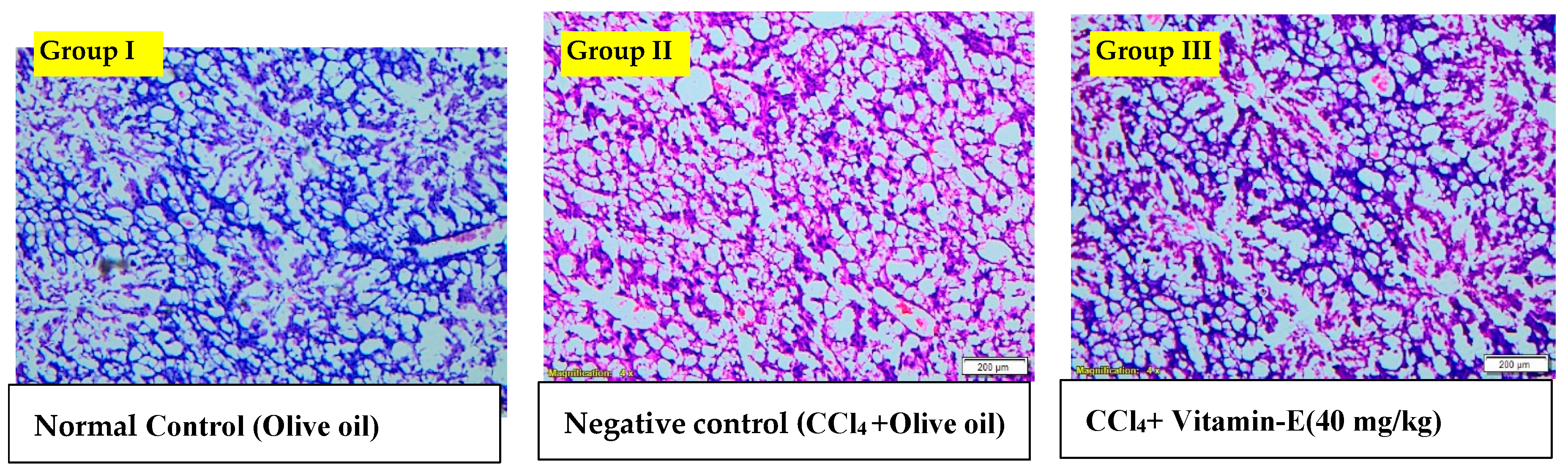 Antioxidants 12 01167 g008a Antioxidants 12 01167 g008a