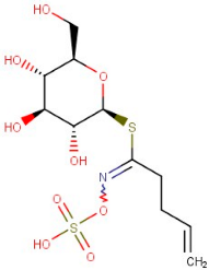 Antioxidants 12 01167 i010 Antioxidants 12 01167 i010
