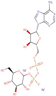 Antioxidants 12 01167 i013 Antioxidants 12 01167 i013
