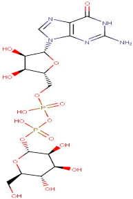 Antioxidants 12 01167 i020 Antioxidants 12 01167 i020