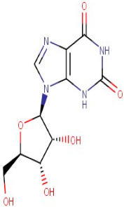 Antioxidants 12 01167 i032 Antioxidants 12 01167 i032