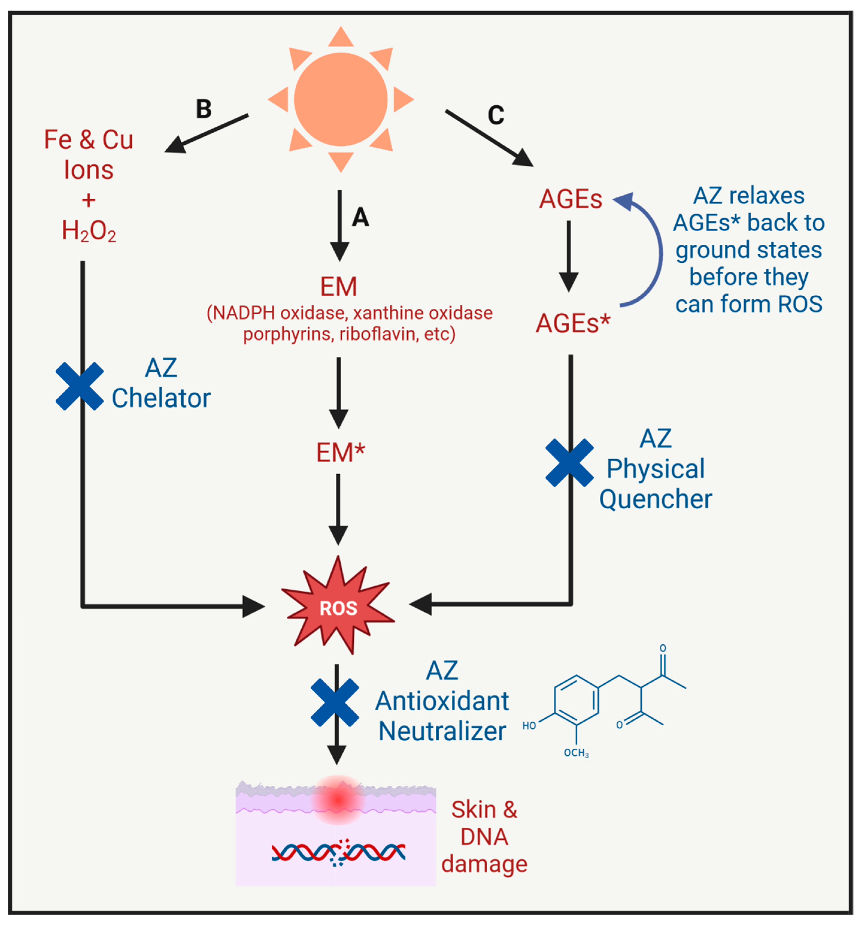 Antioxidants 12 01168 g004 Antioxidants 12 01168 g004