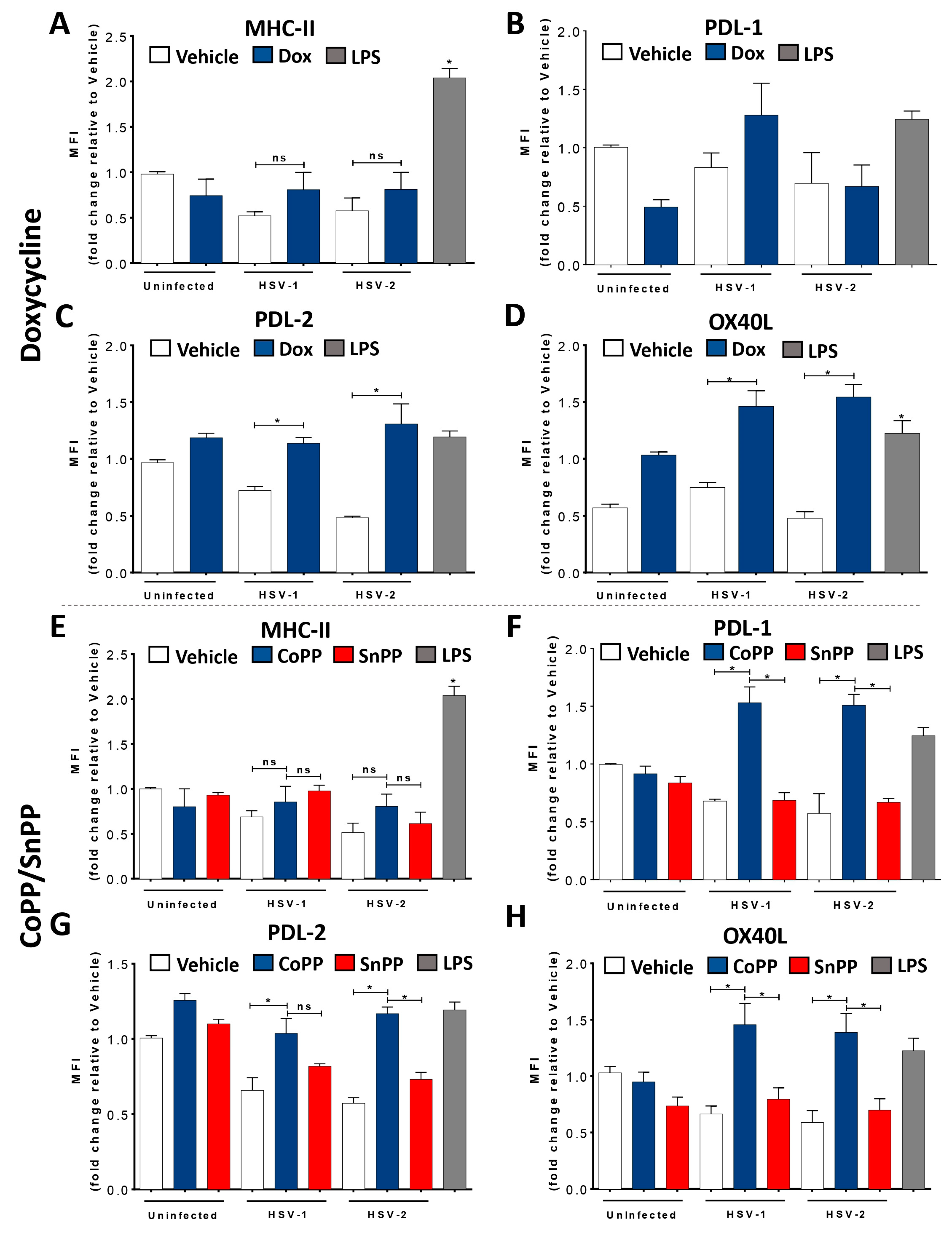 Antioxidants 12 01170 g002a
