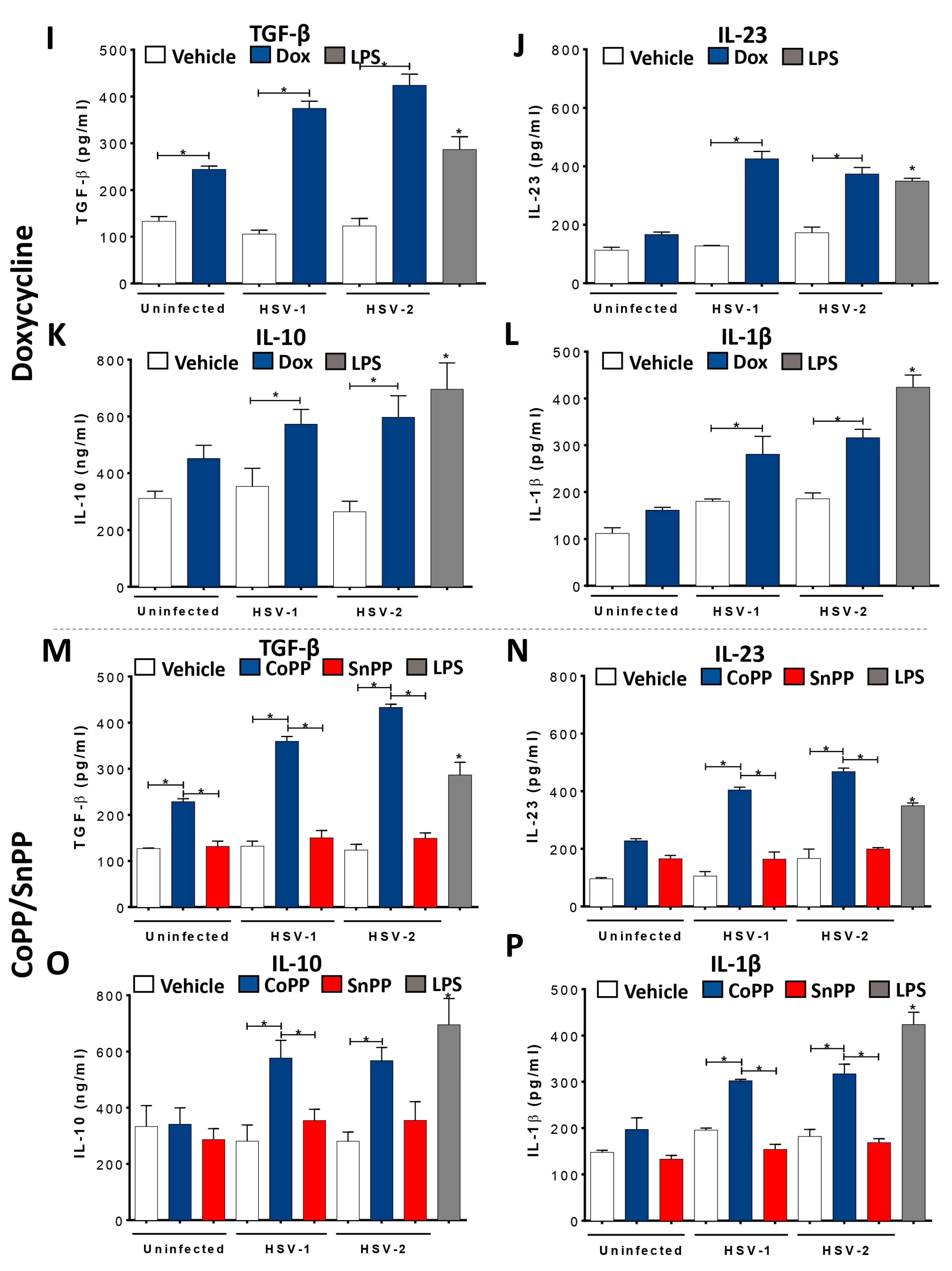 Antioxidants 12 01170 g002b