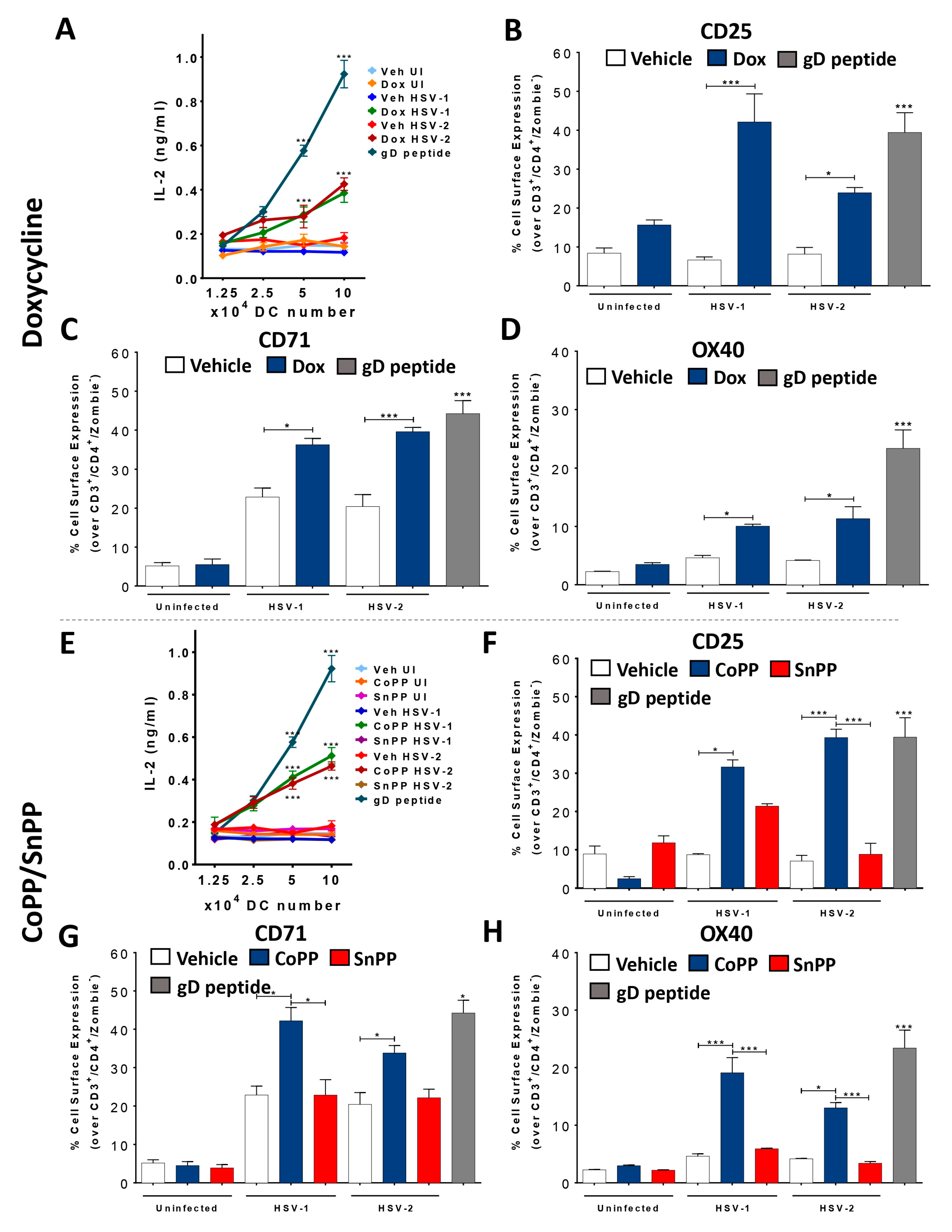Antioxidants 12 01170 g003a