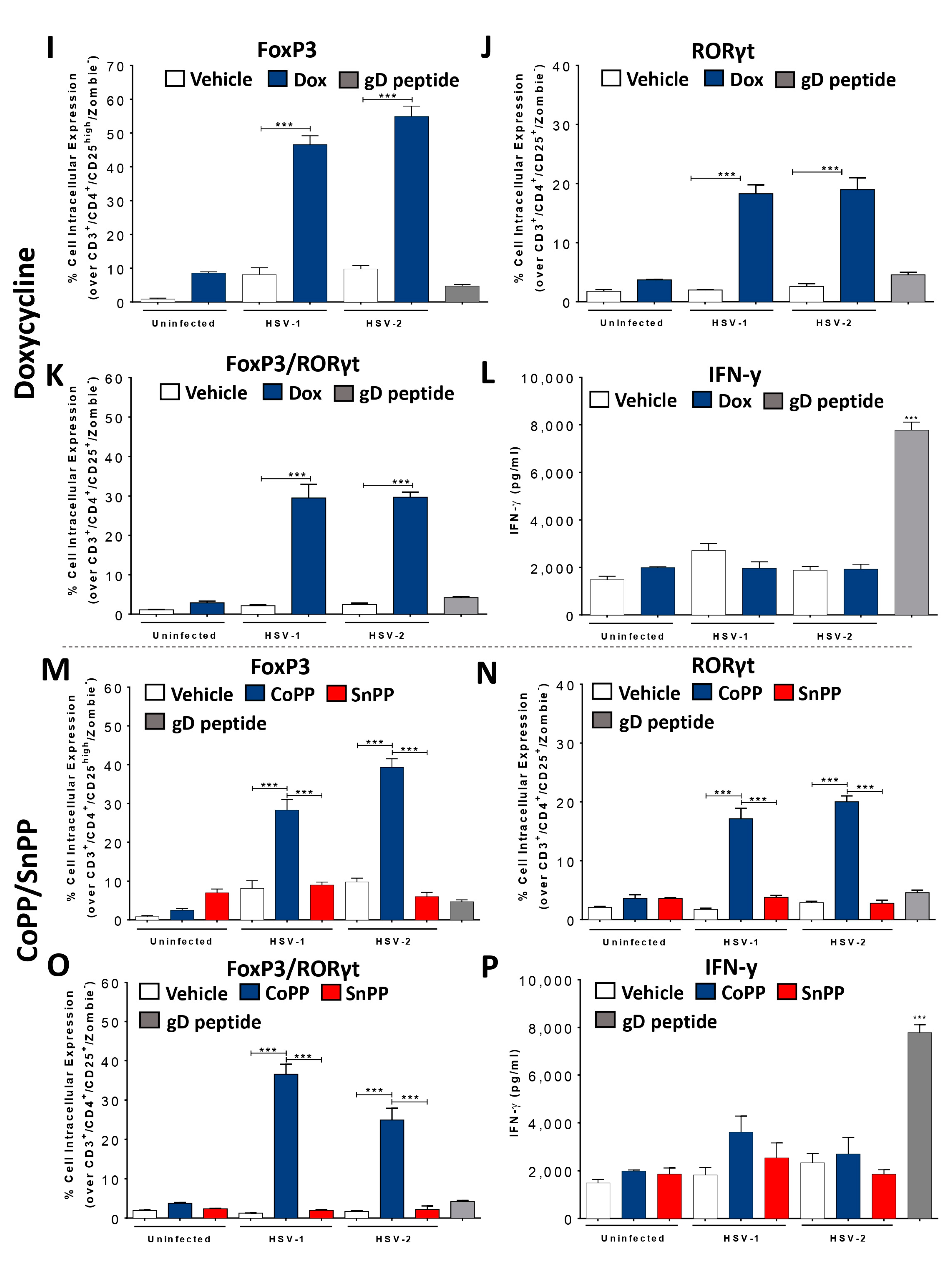 Antioxidants 12 01170 g003b