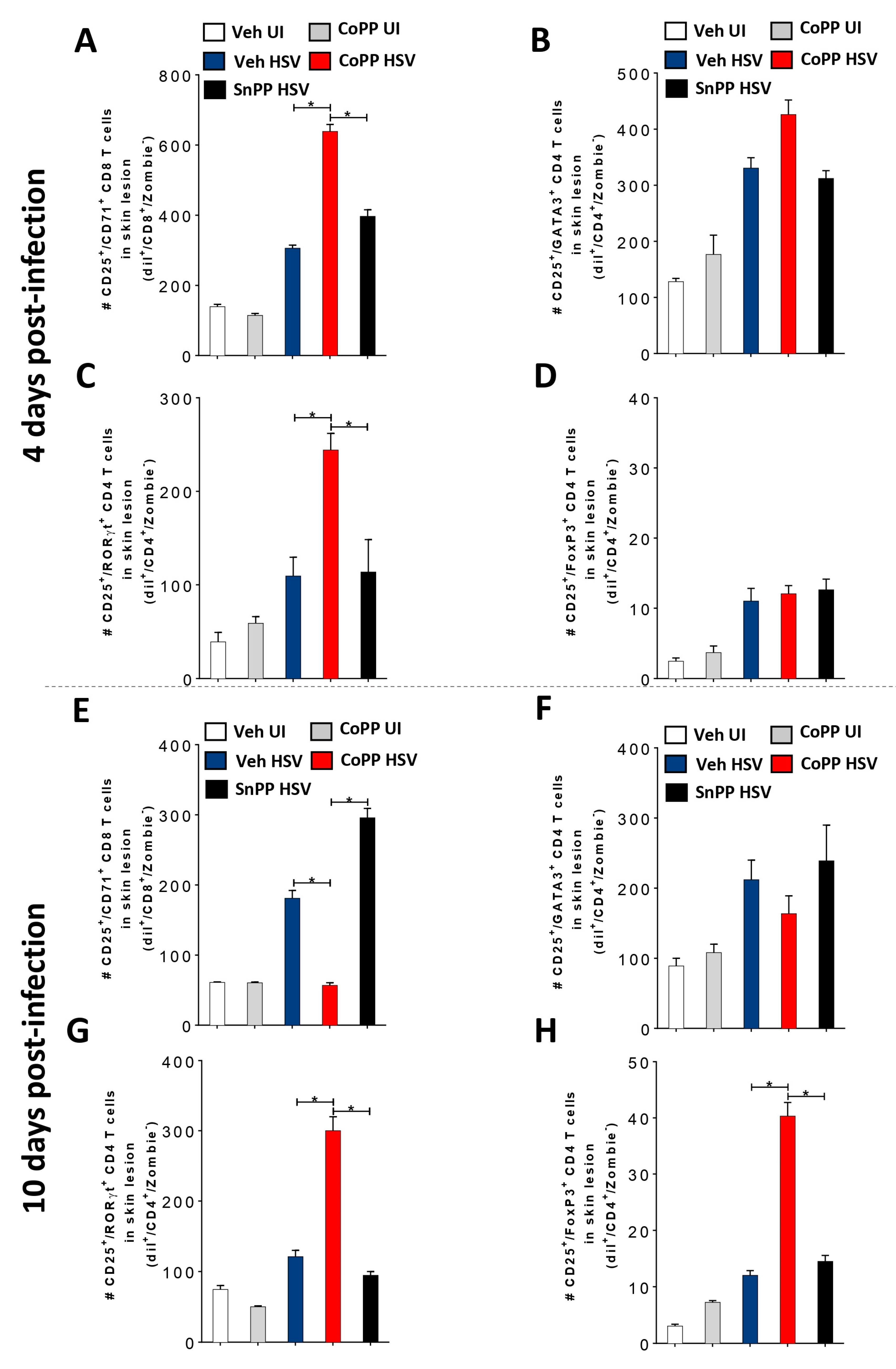 Antioxidants 12 01170 g006