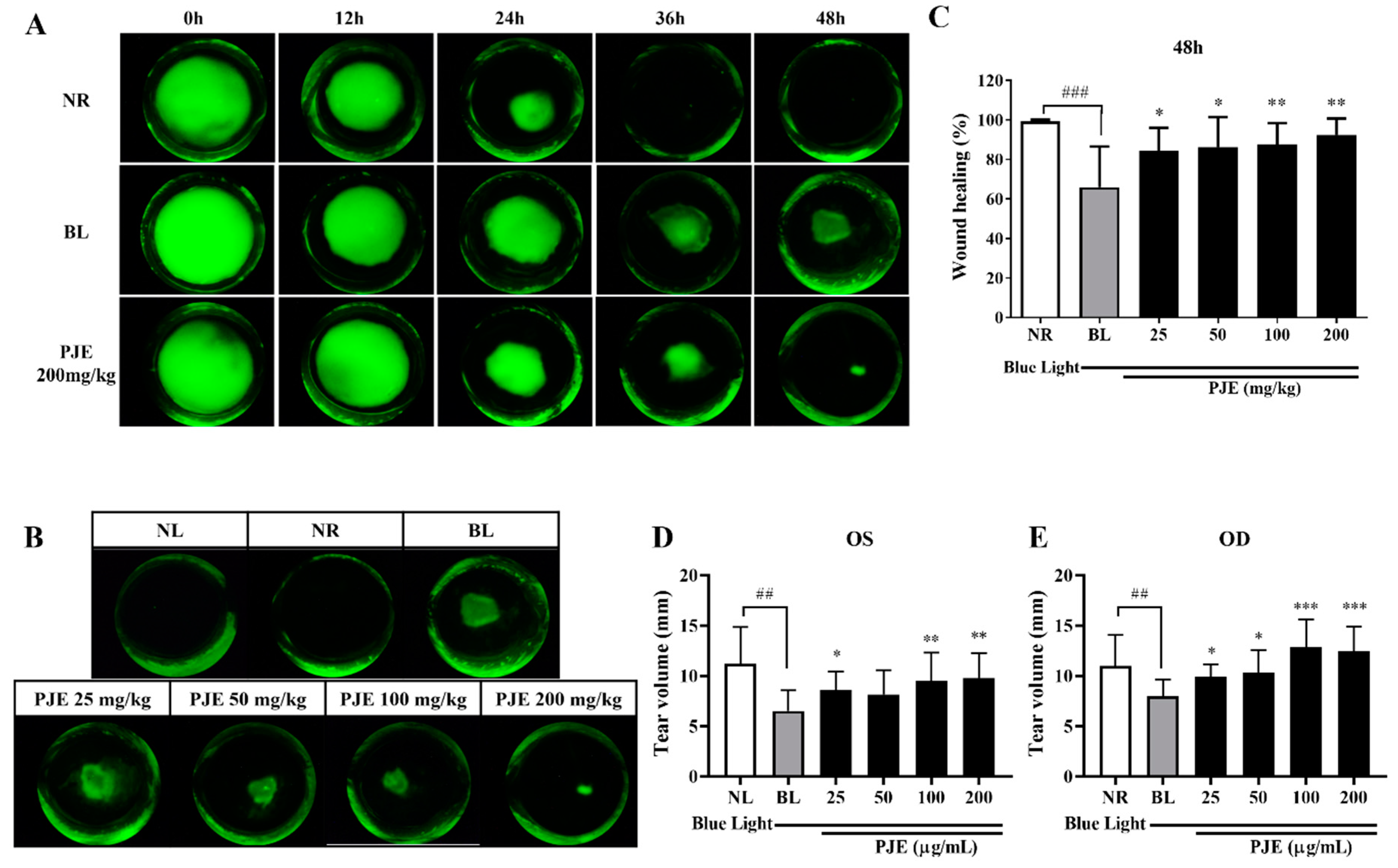 Antioxidants 12 01171 g004