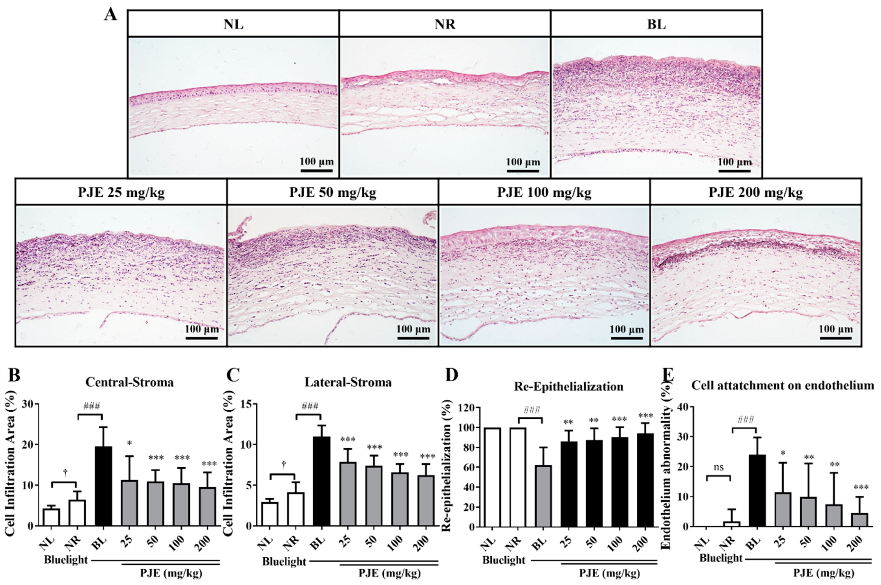 Antioxidants 12 01171 g005
