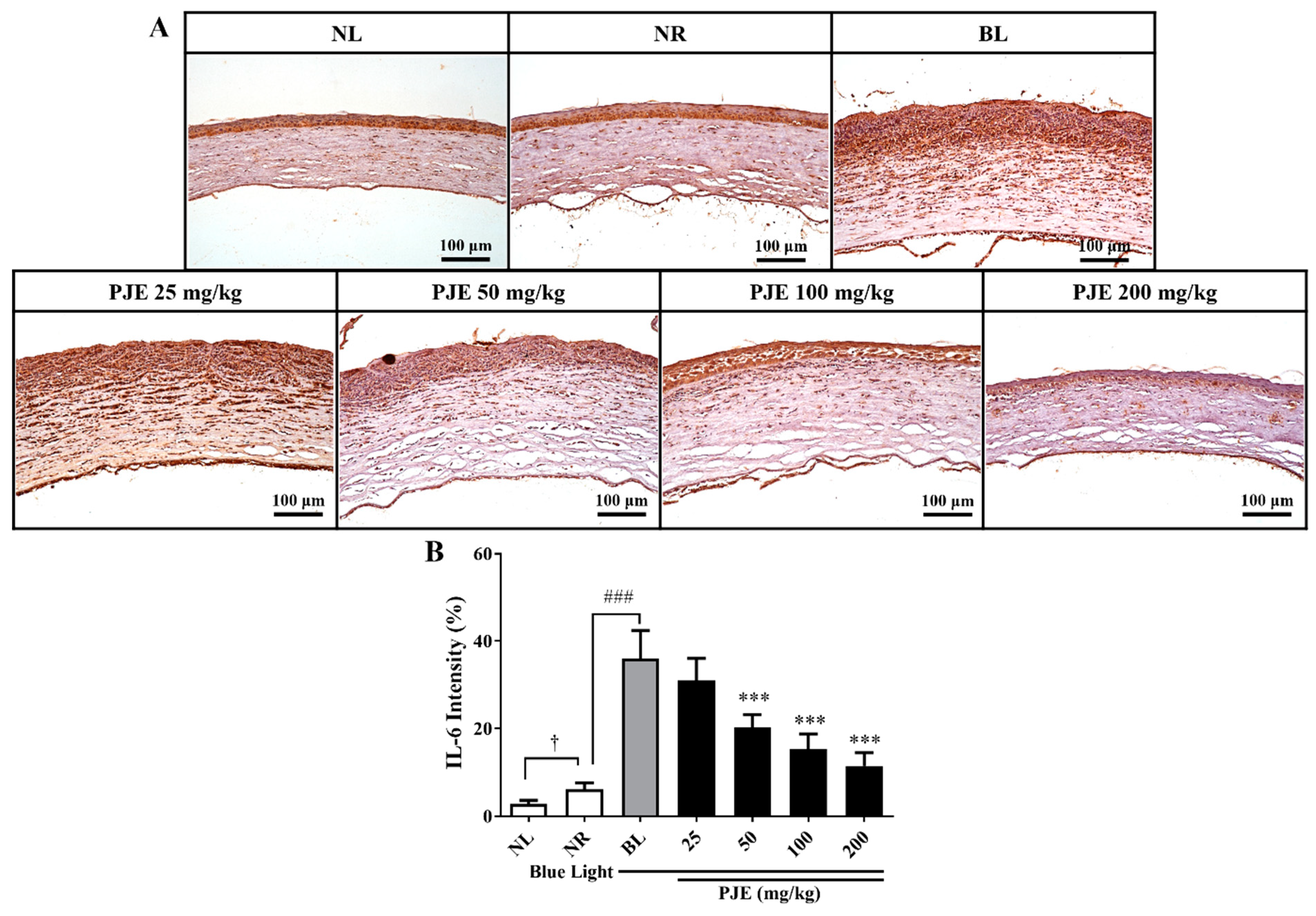 Antioxidants 12 01171 g006