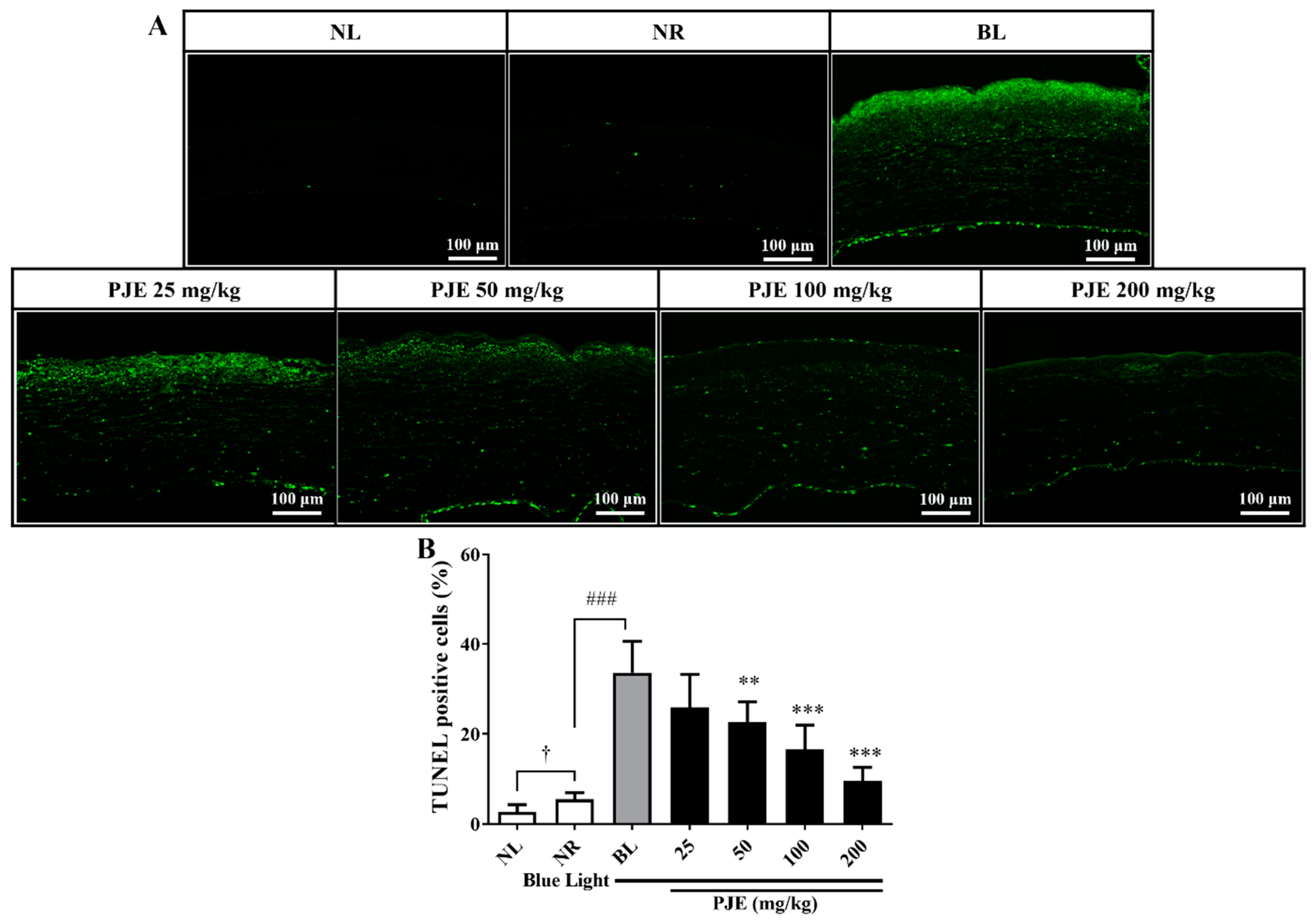 Antioxidants 12 01171 g007