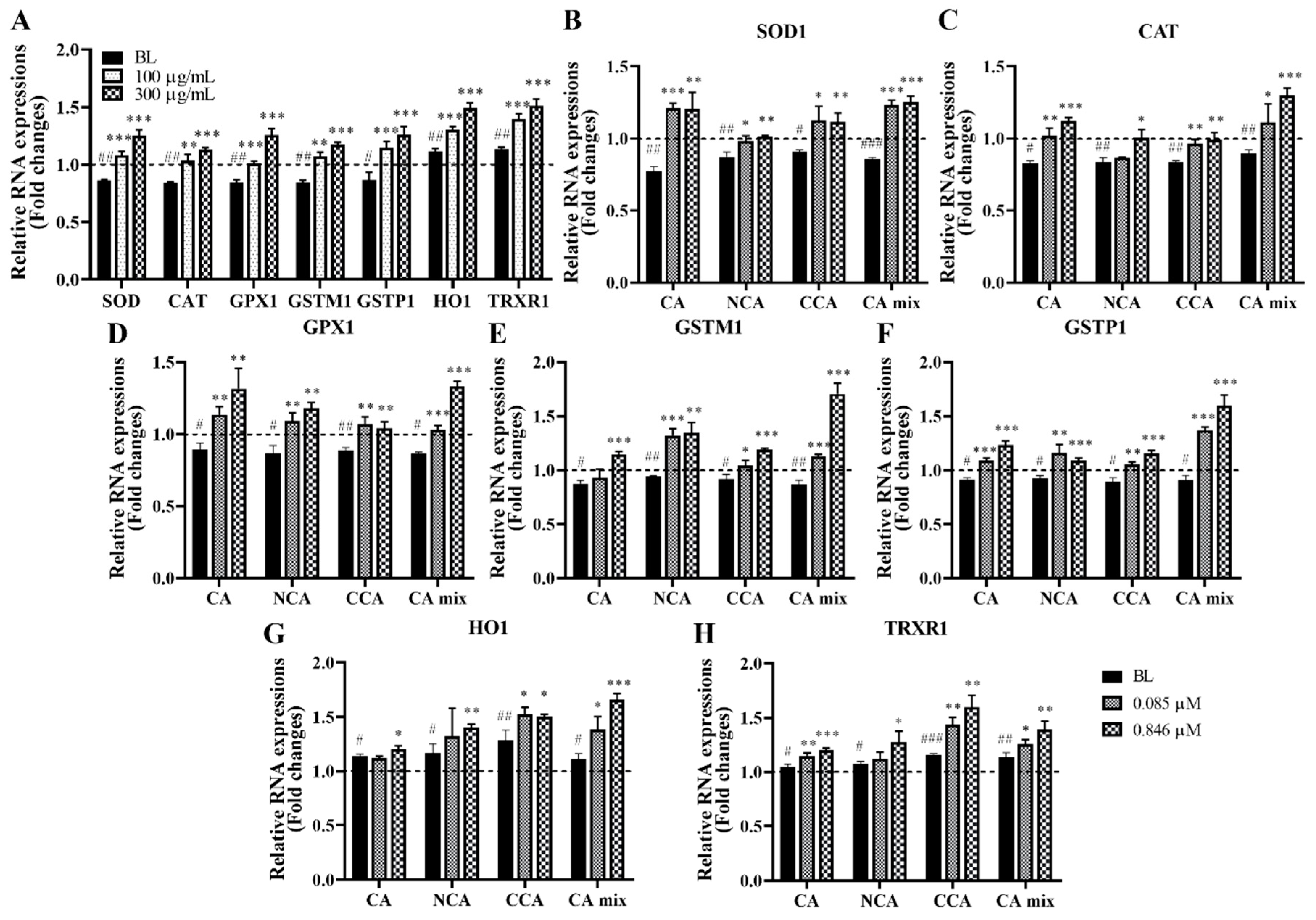 Antioxidants 12 01171 g011