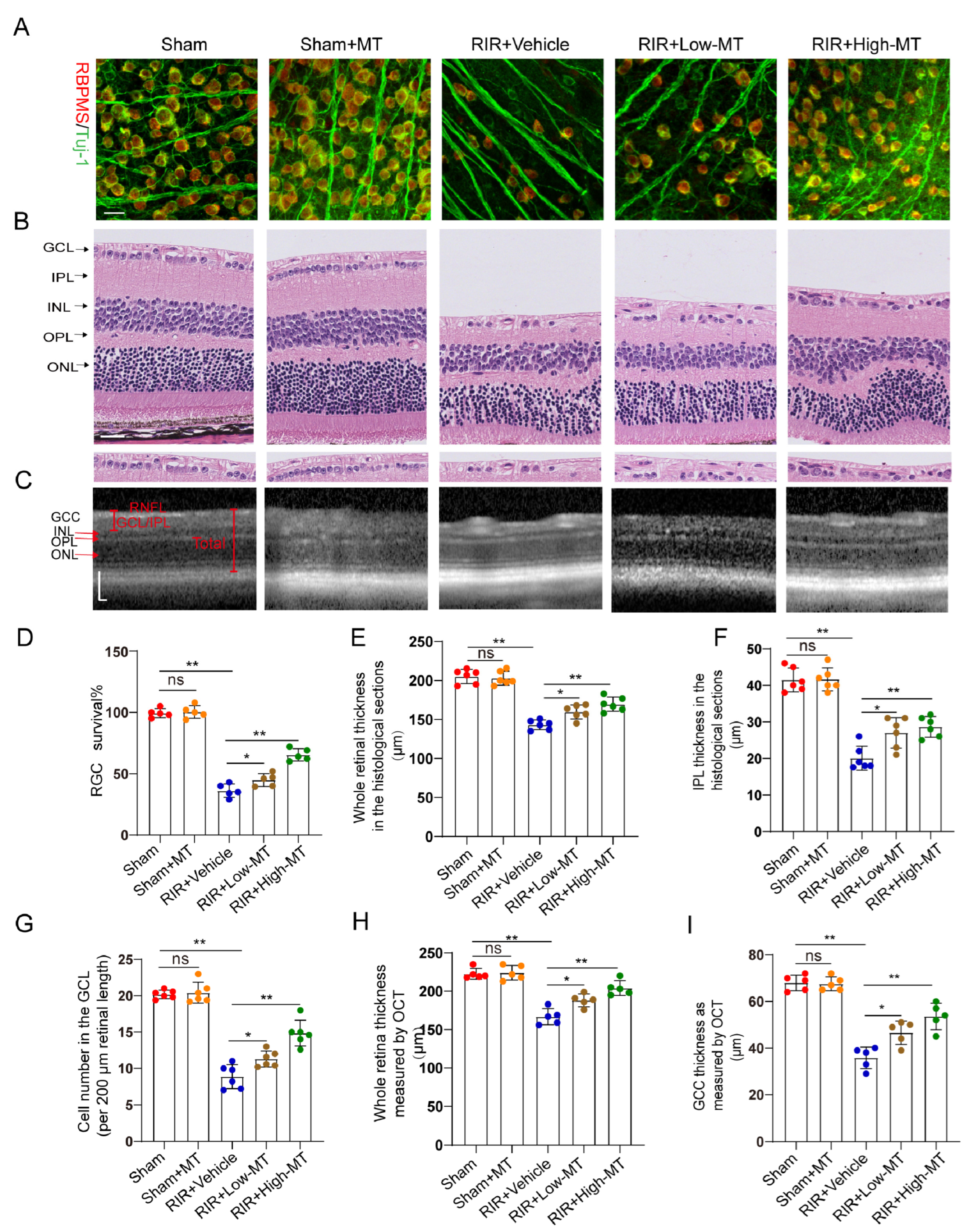 Antioxidants 12 01173 g003 Antioxidants 12 01173 g003
