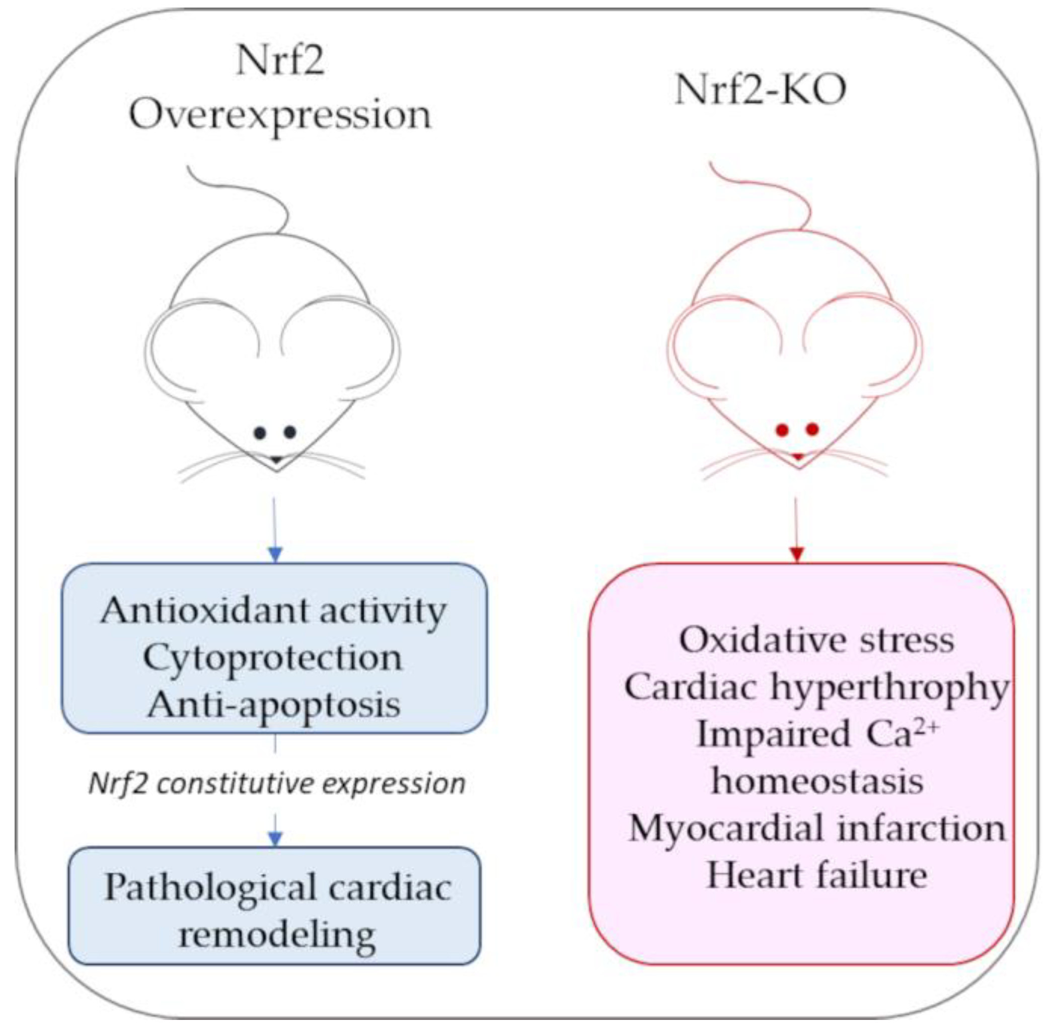 Antioxidants 12 01177 g004