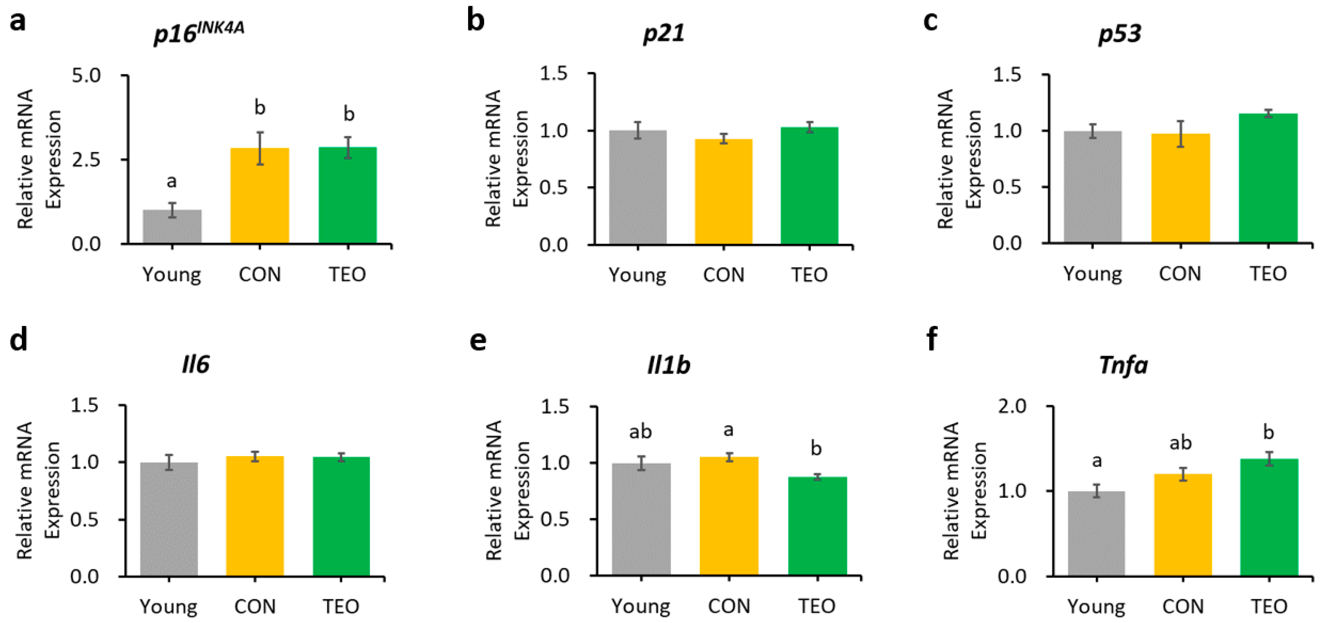 Antioxidants 12 01178 g003