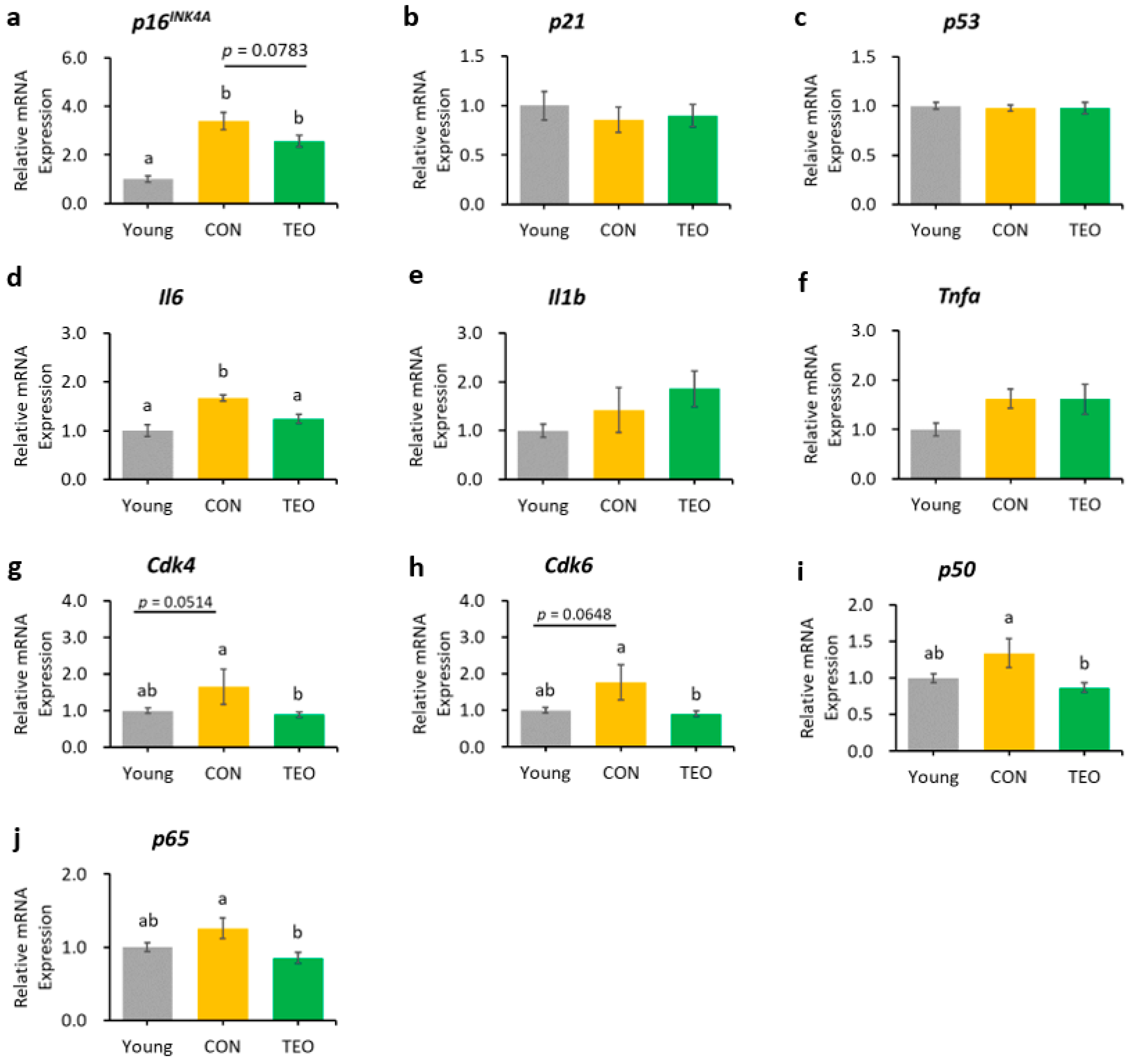 Antioxidants 12 01178 g004