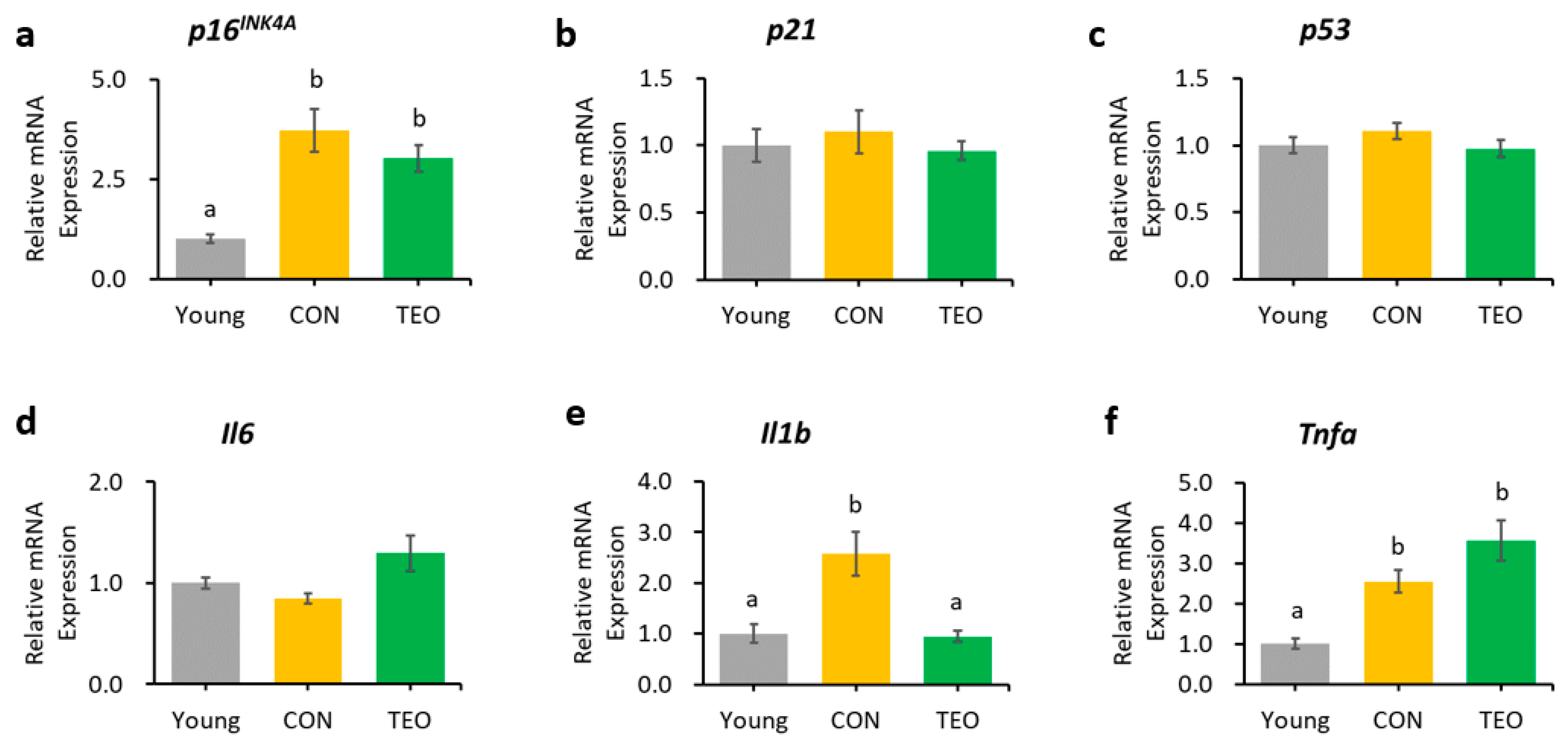 Antioxidants 12 01178 g005
