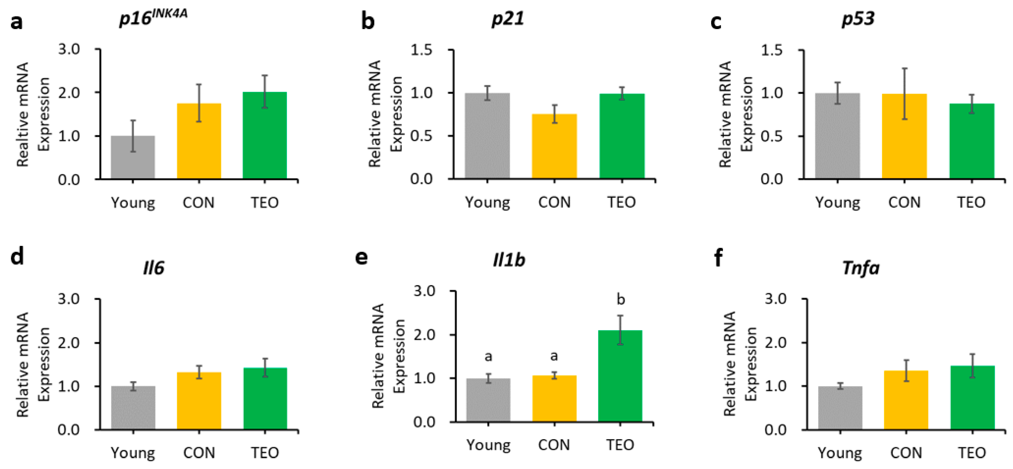 Antioxidants 12 01178 g006