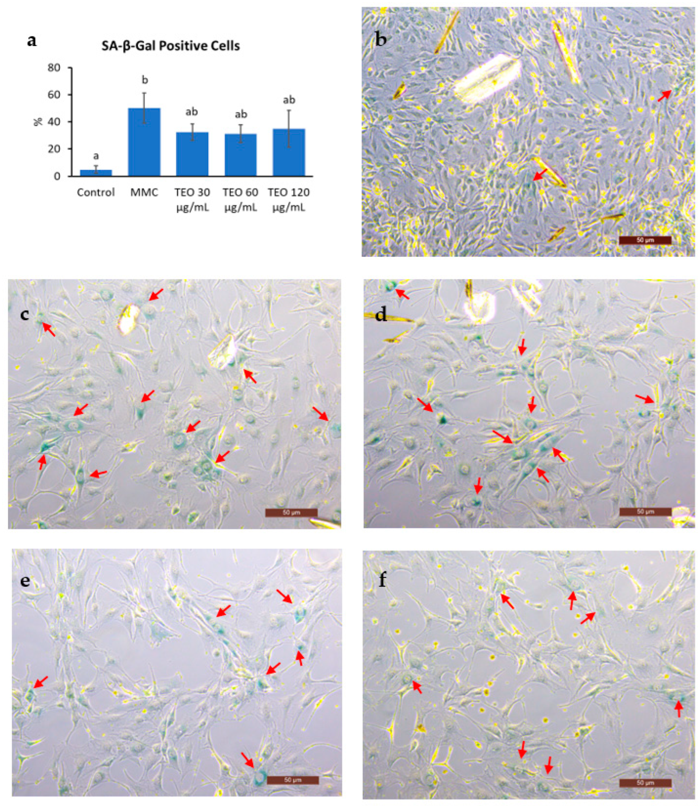 Antioxidants 12 01178 g008