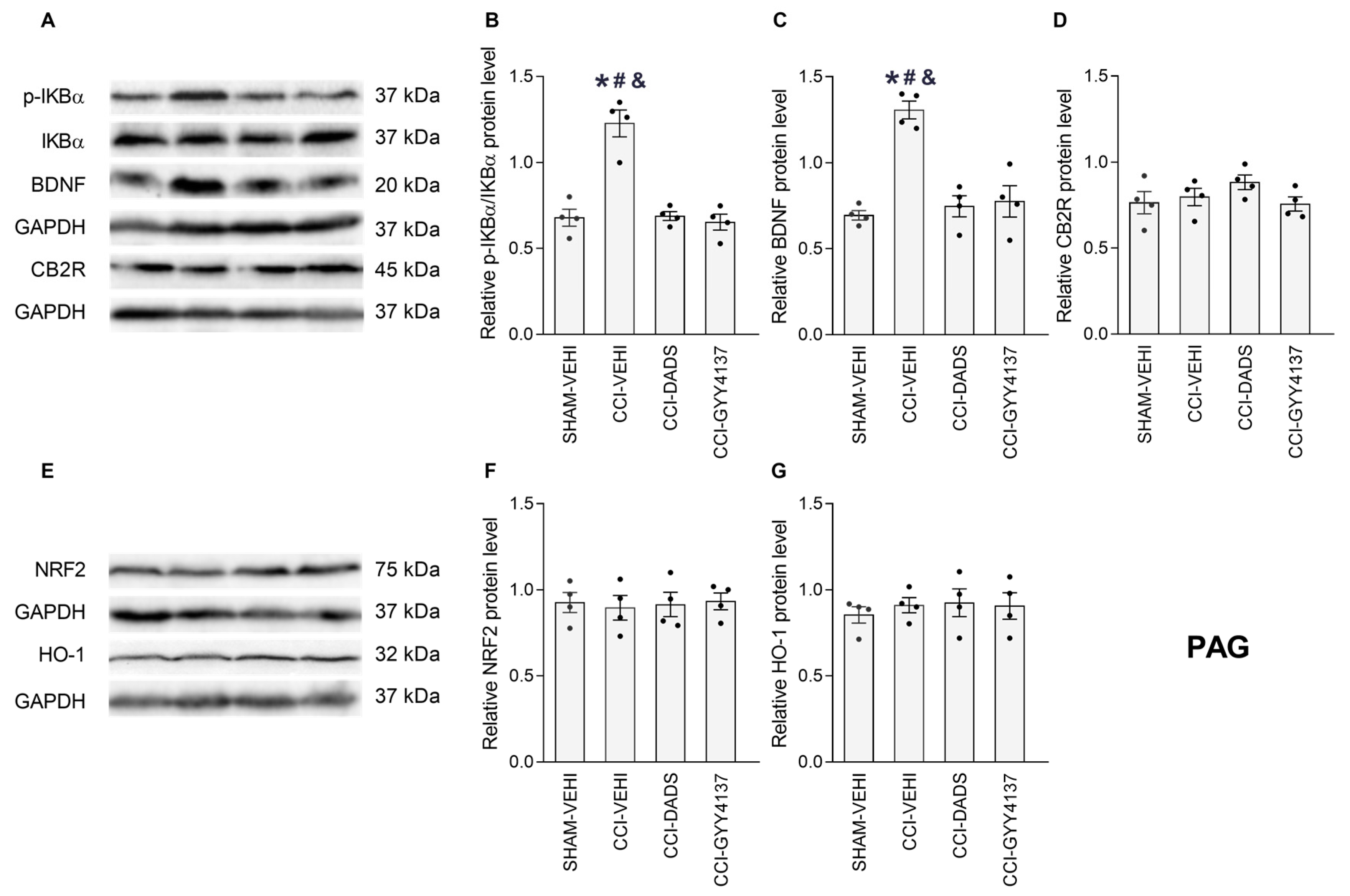 Antioxidants 12 01179 g008