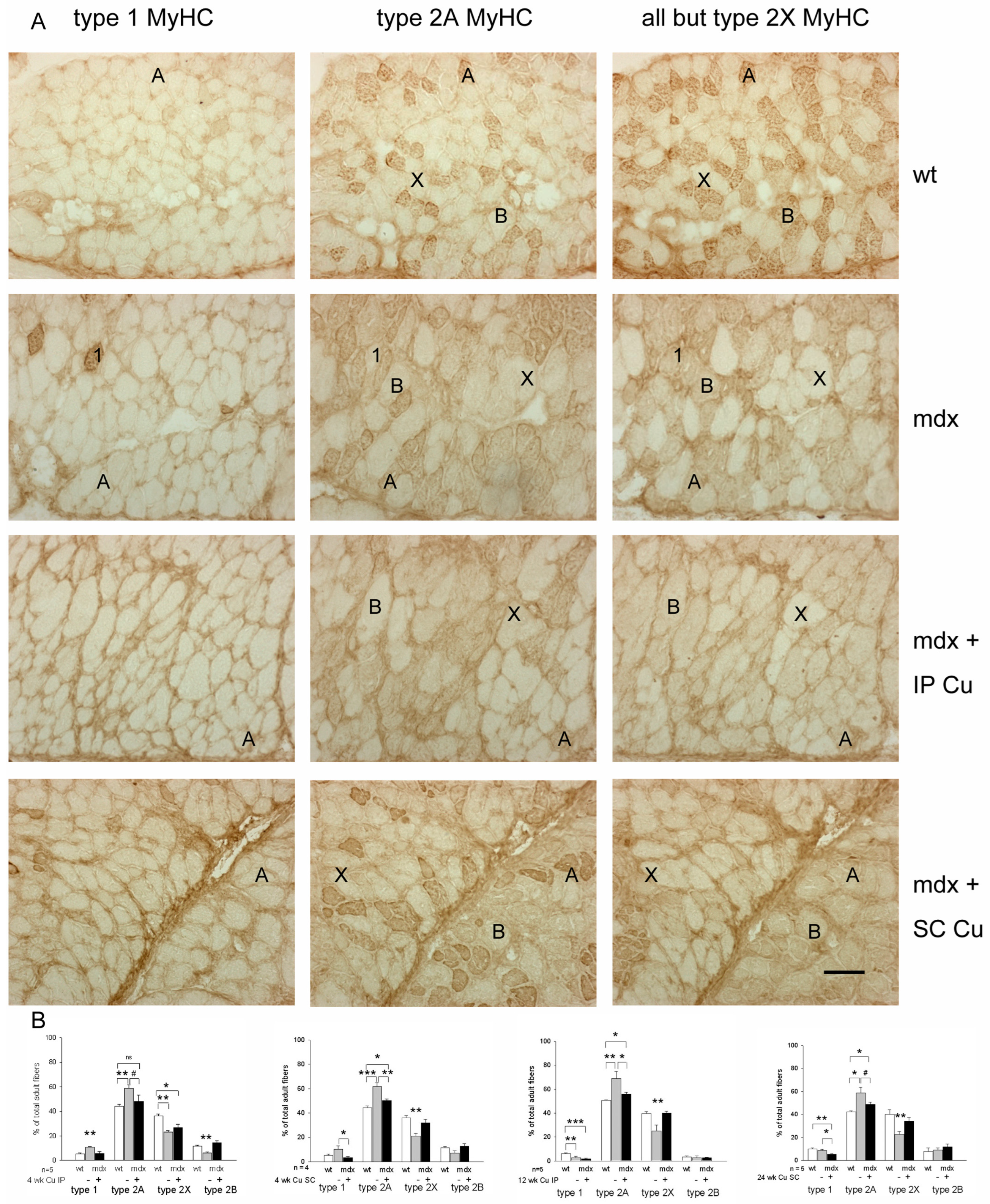 Antioxidants 12 01181 g003