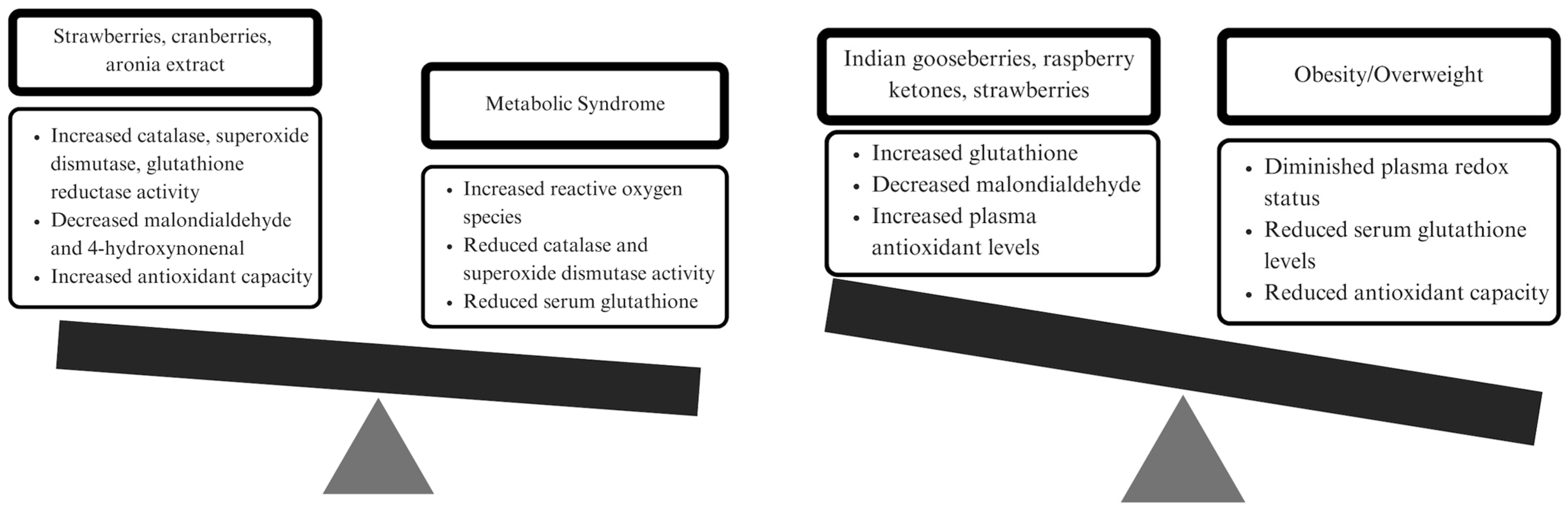 Antioxidants 12 01182 g002