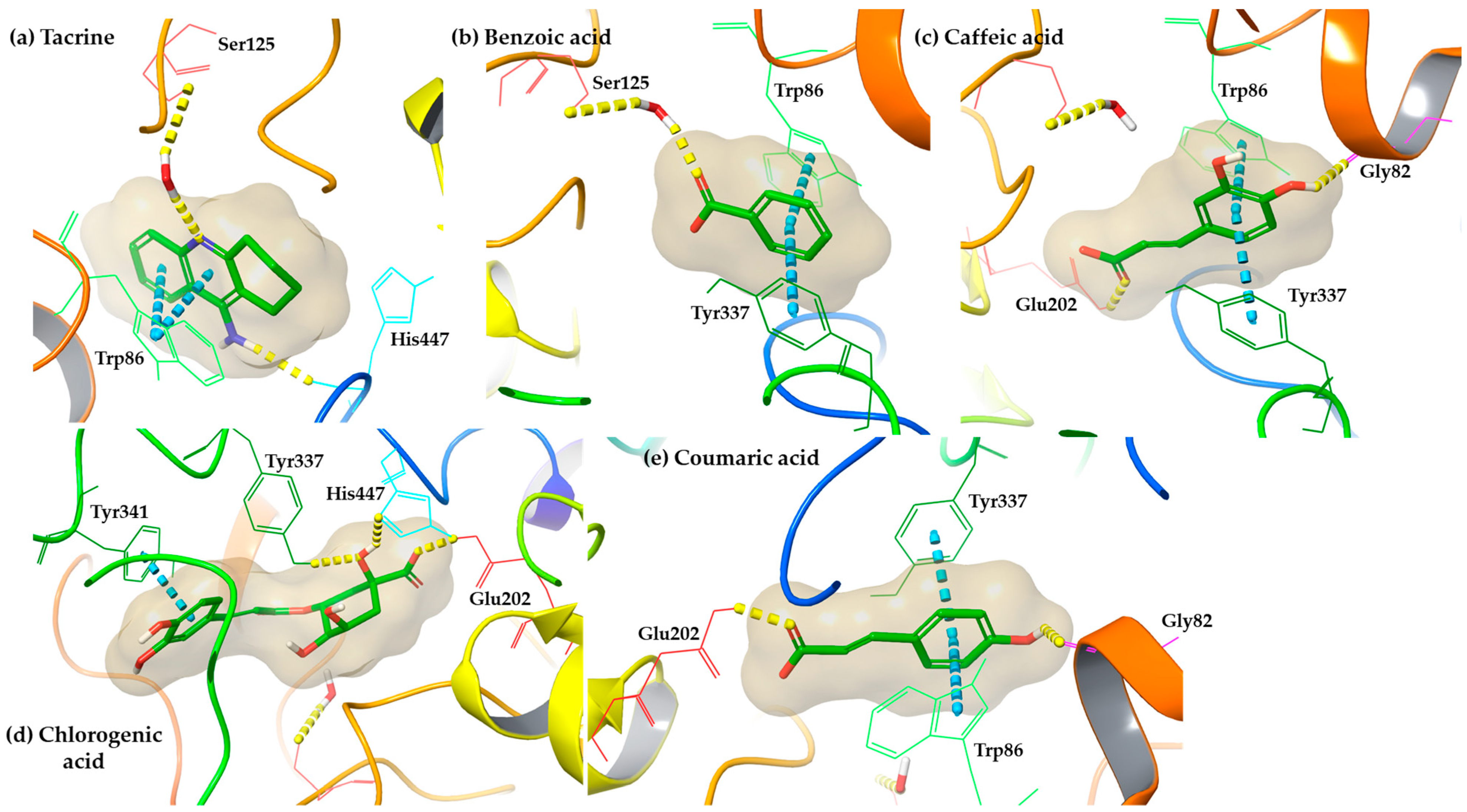 Antioxidants 12 01184 g004