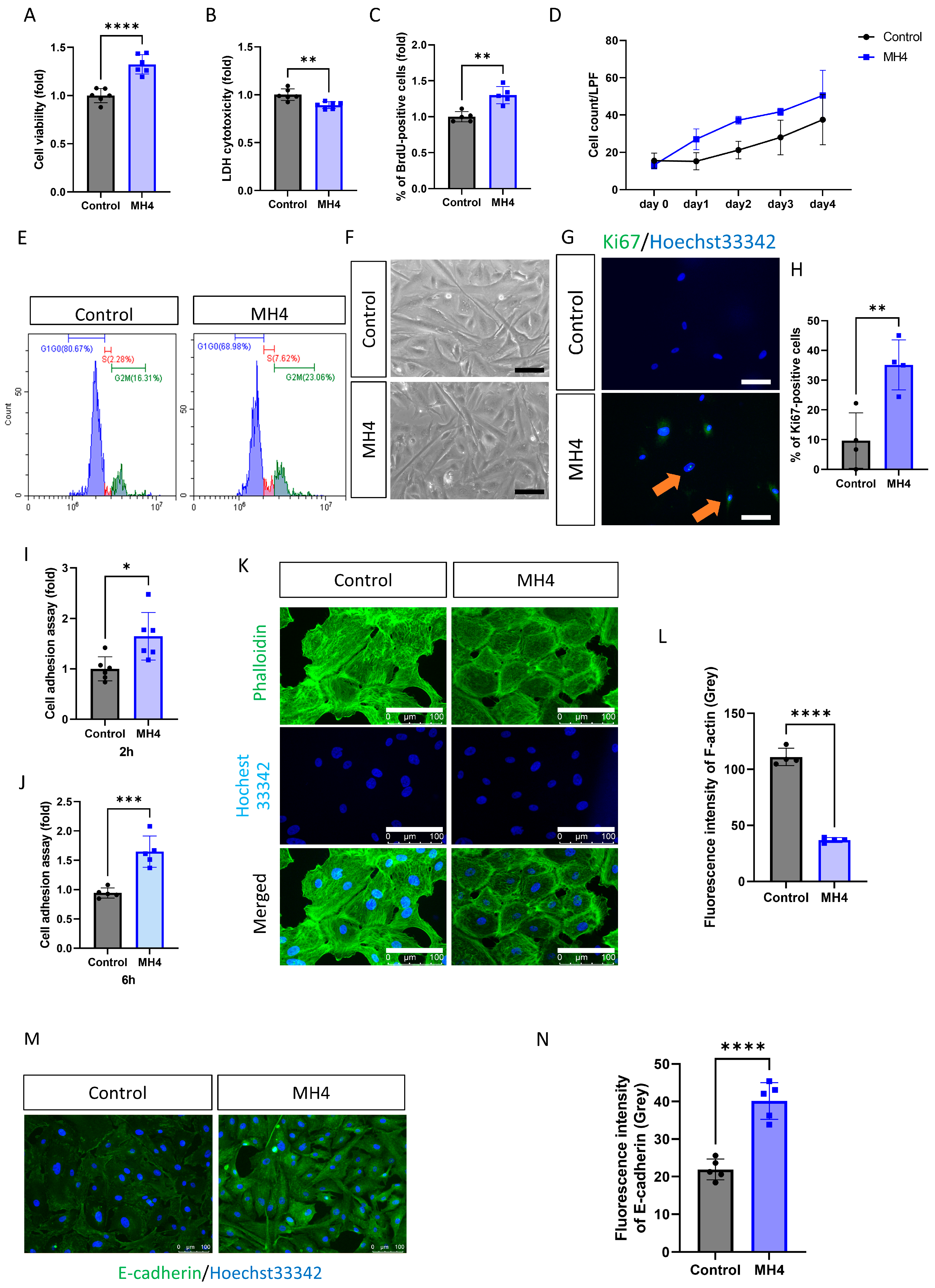 Antioxidants 12 01186 g001