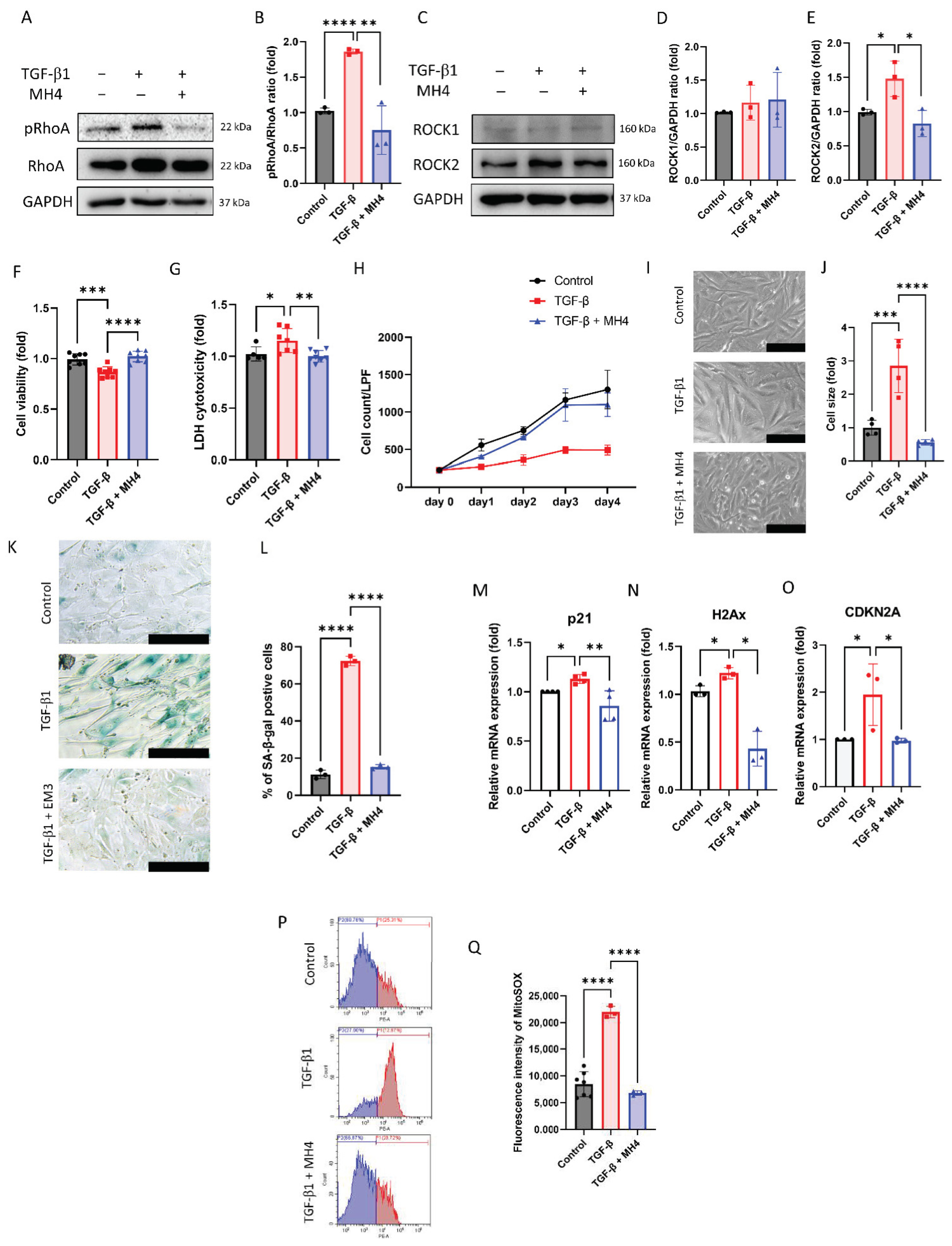 Antioxidants 12 01186 g003