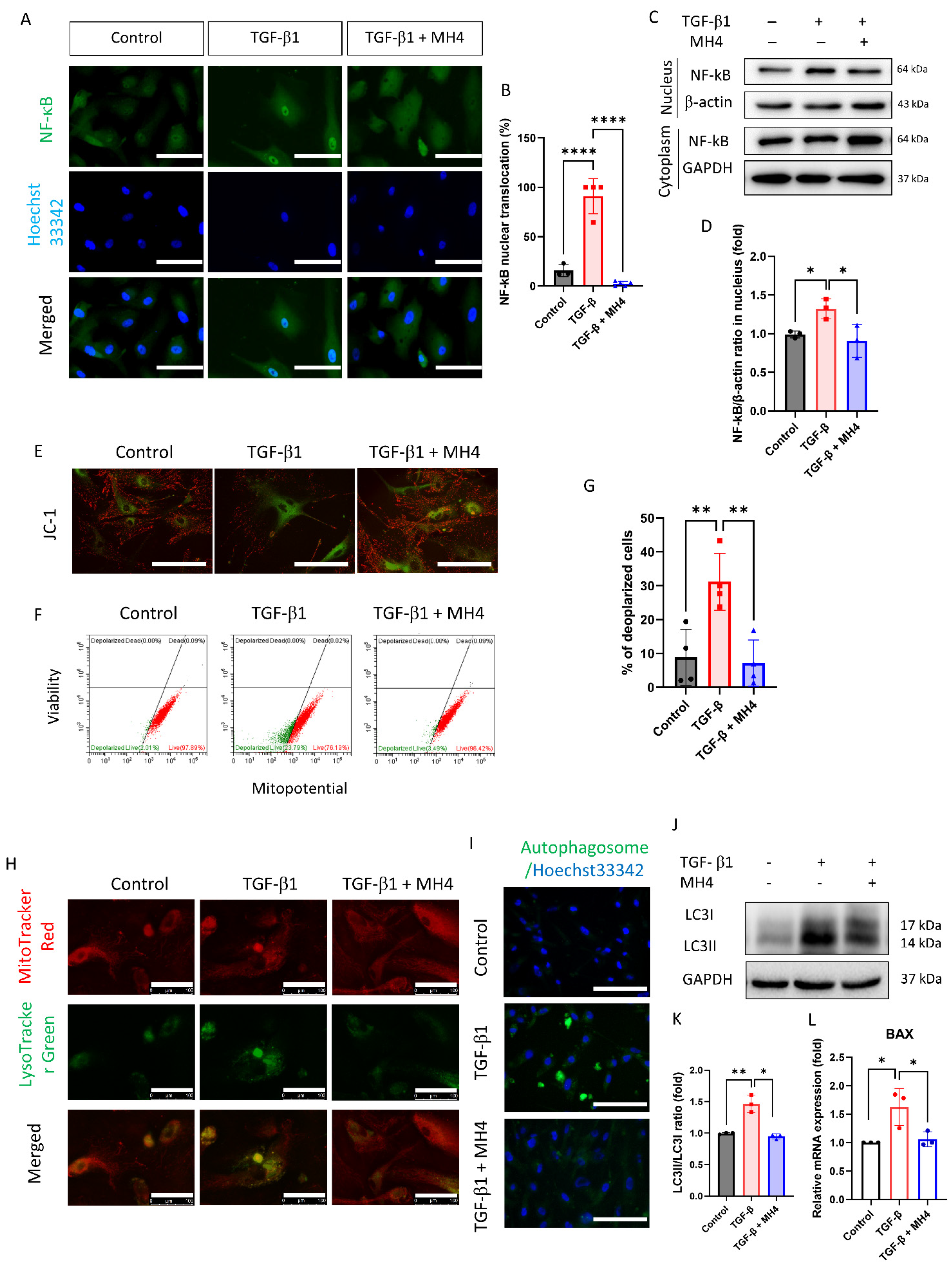 Antioxidants 12 01186 g004