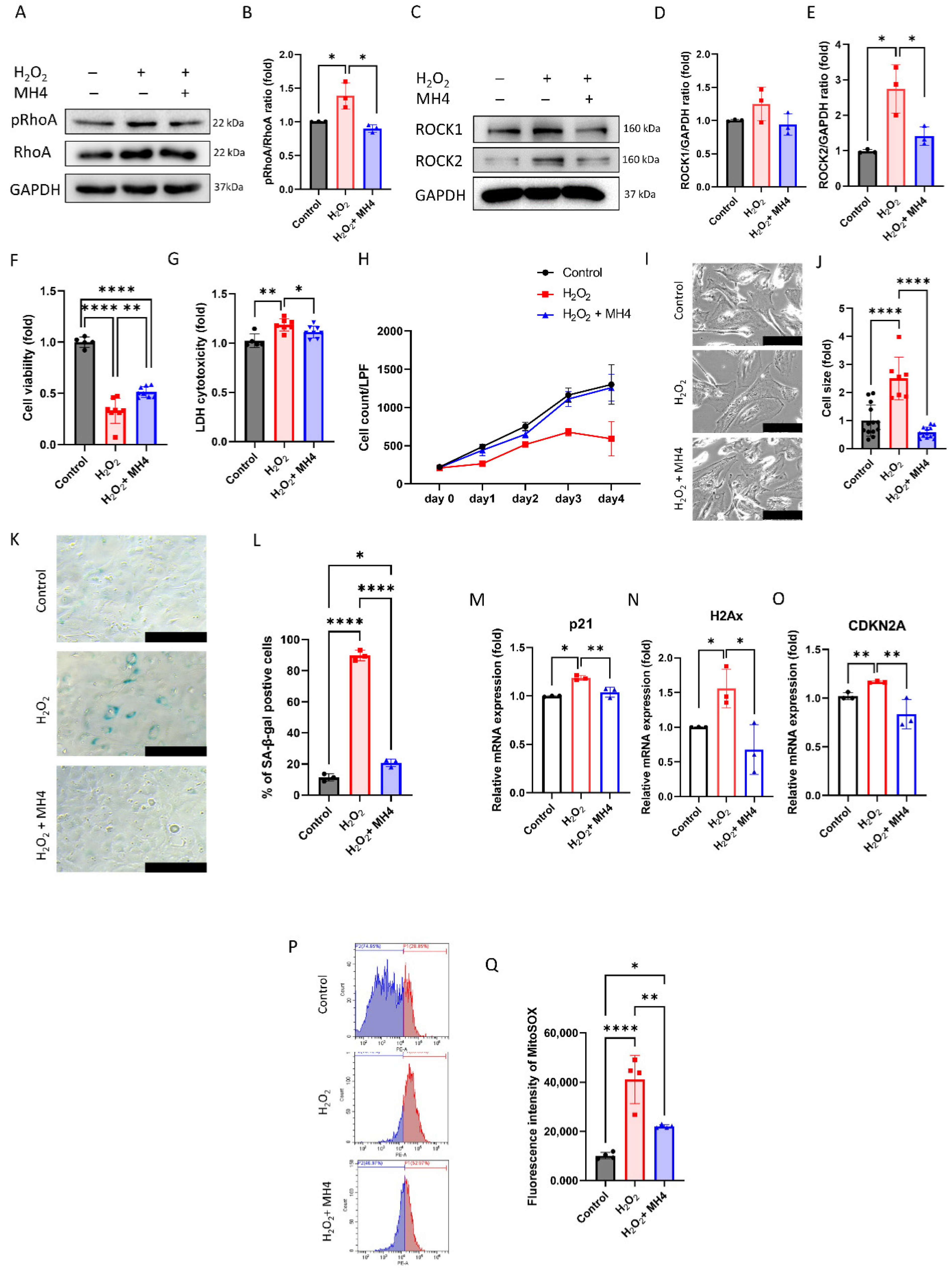 Antioxidants 12 01186 g005