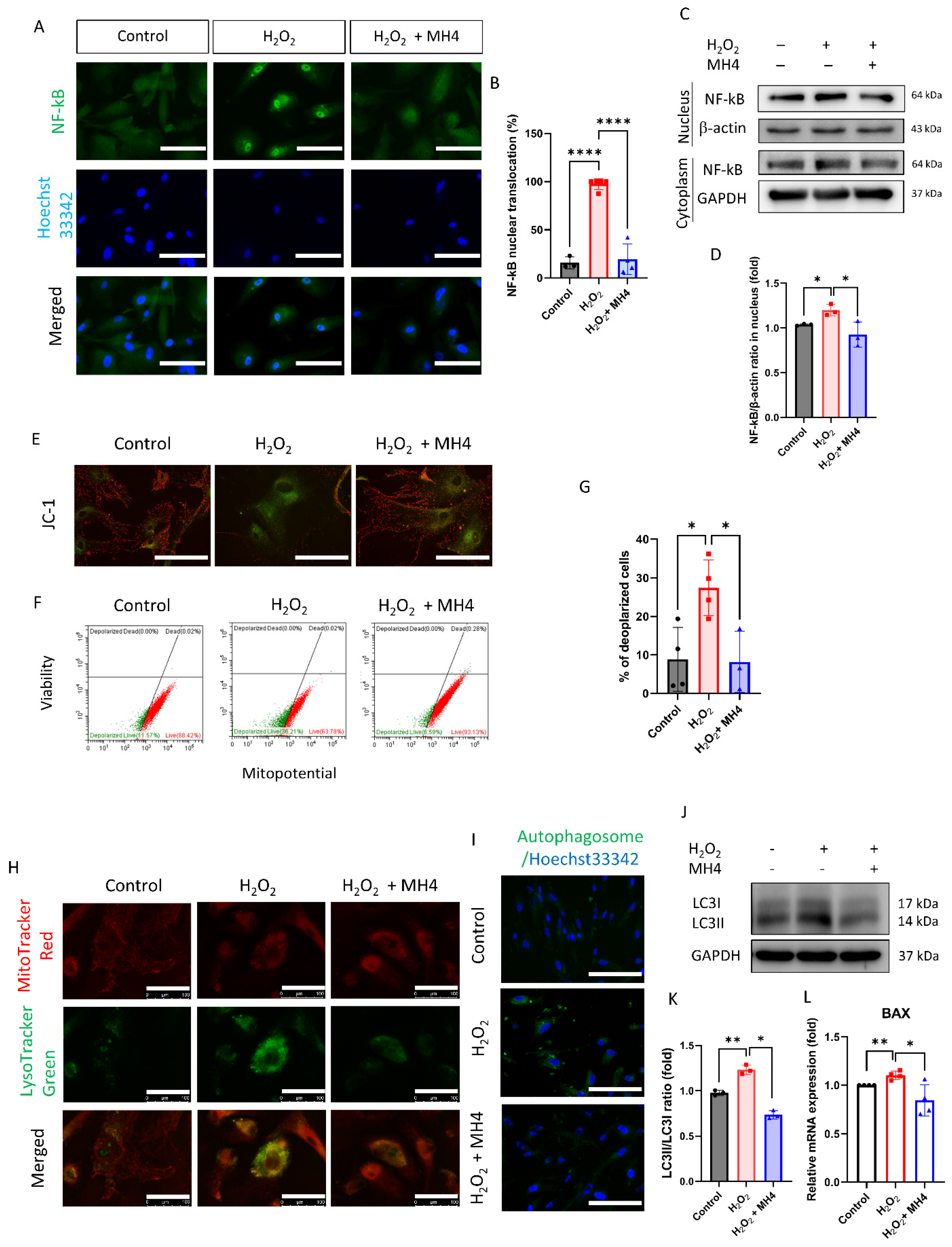 Antioxidants 12 01186 g006