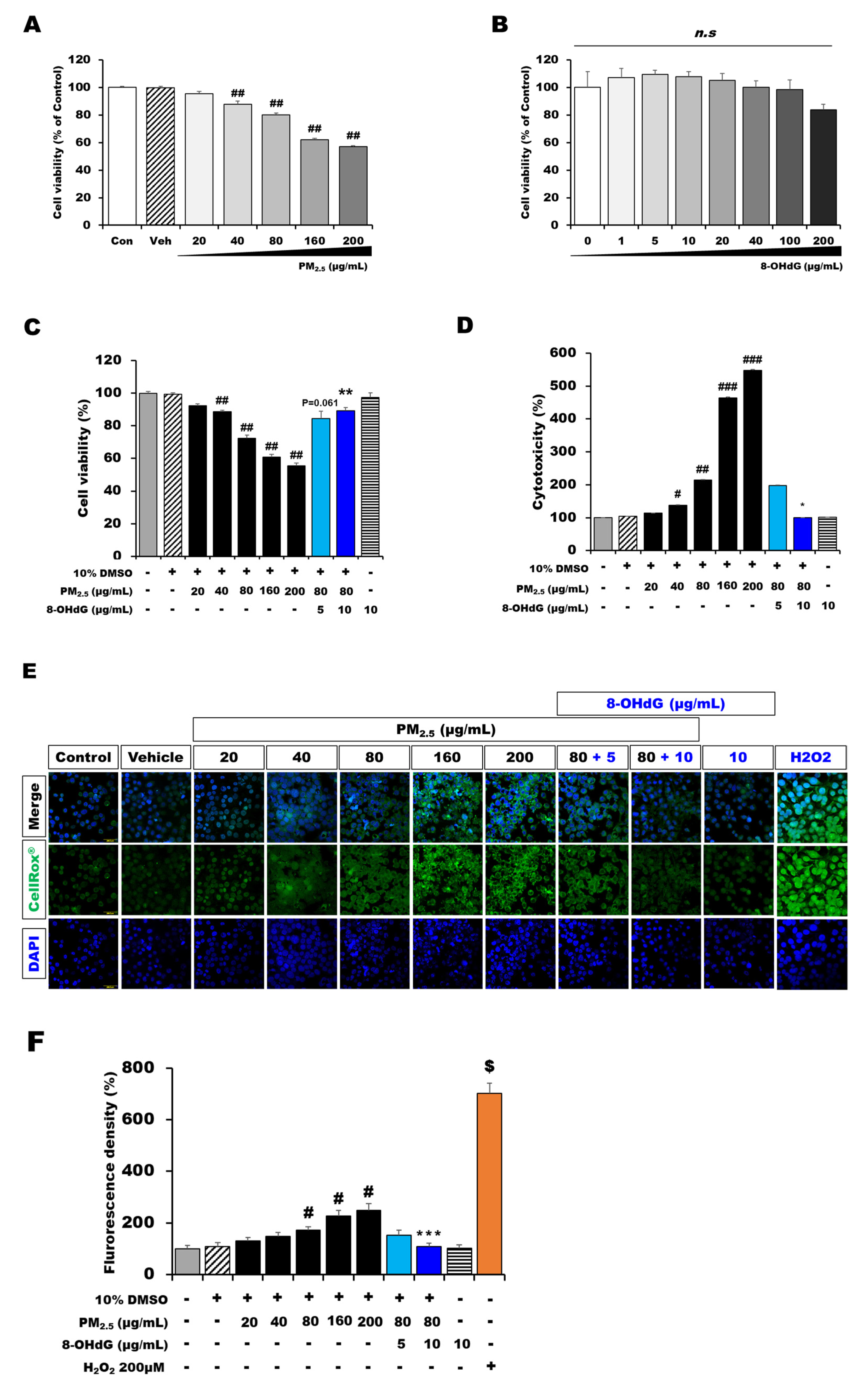Antioxidants 12 01189 g001