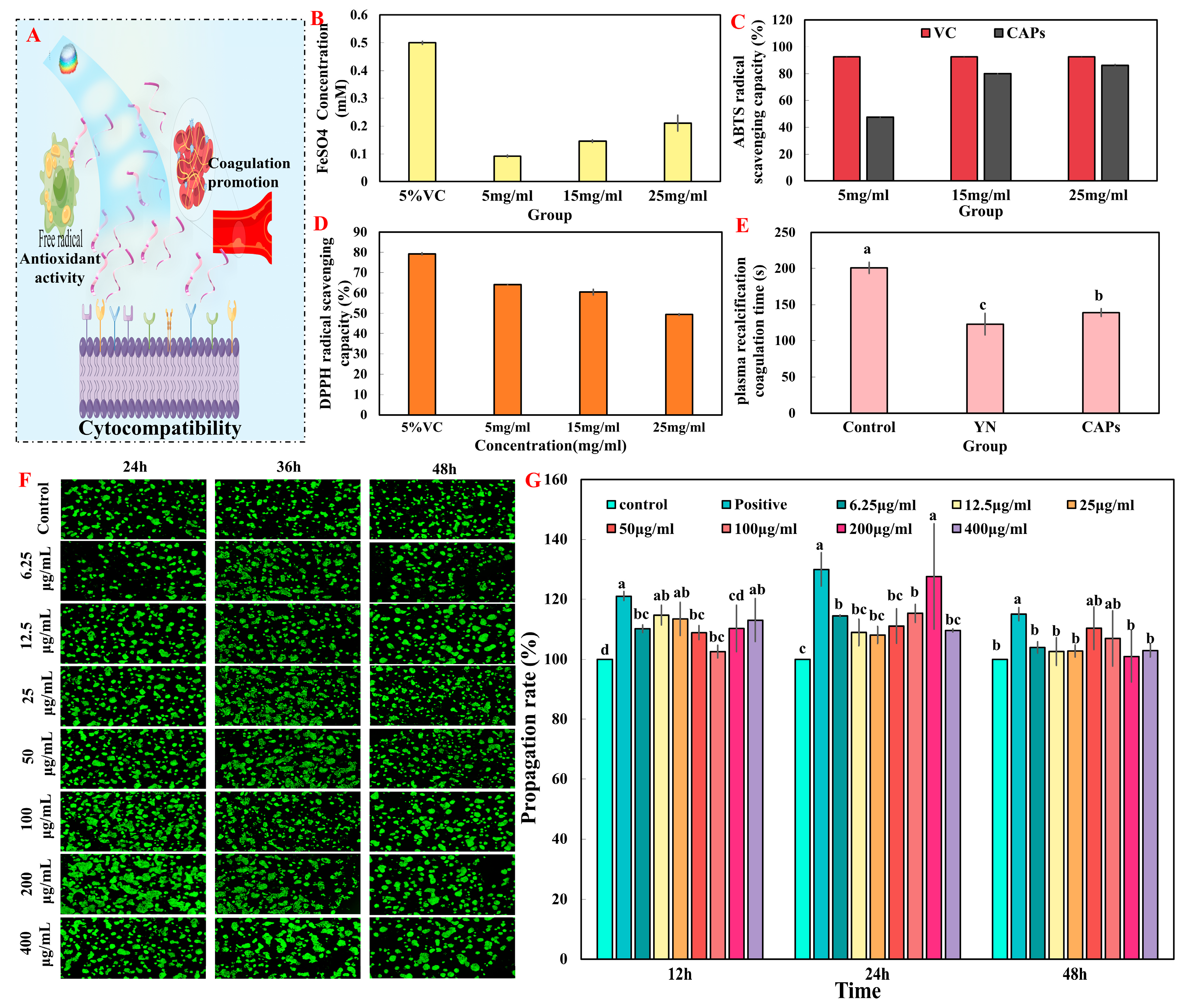 Antioxidants 12 01190 g002