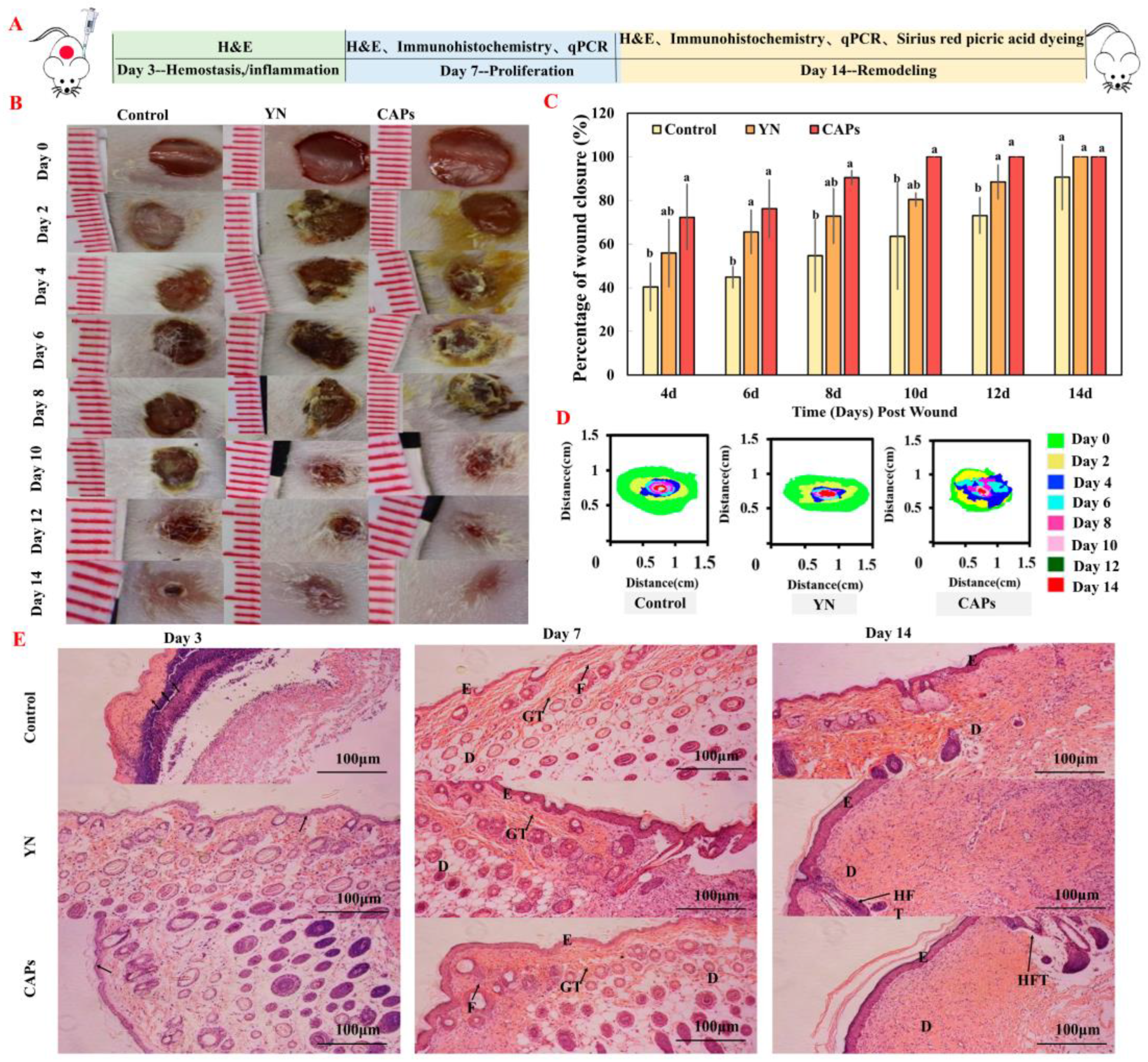 Antioxidants 12 01190 g003