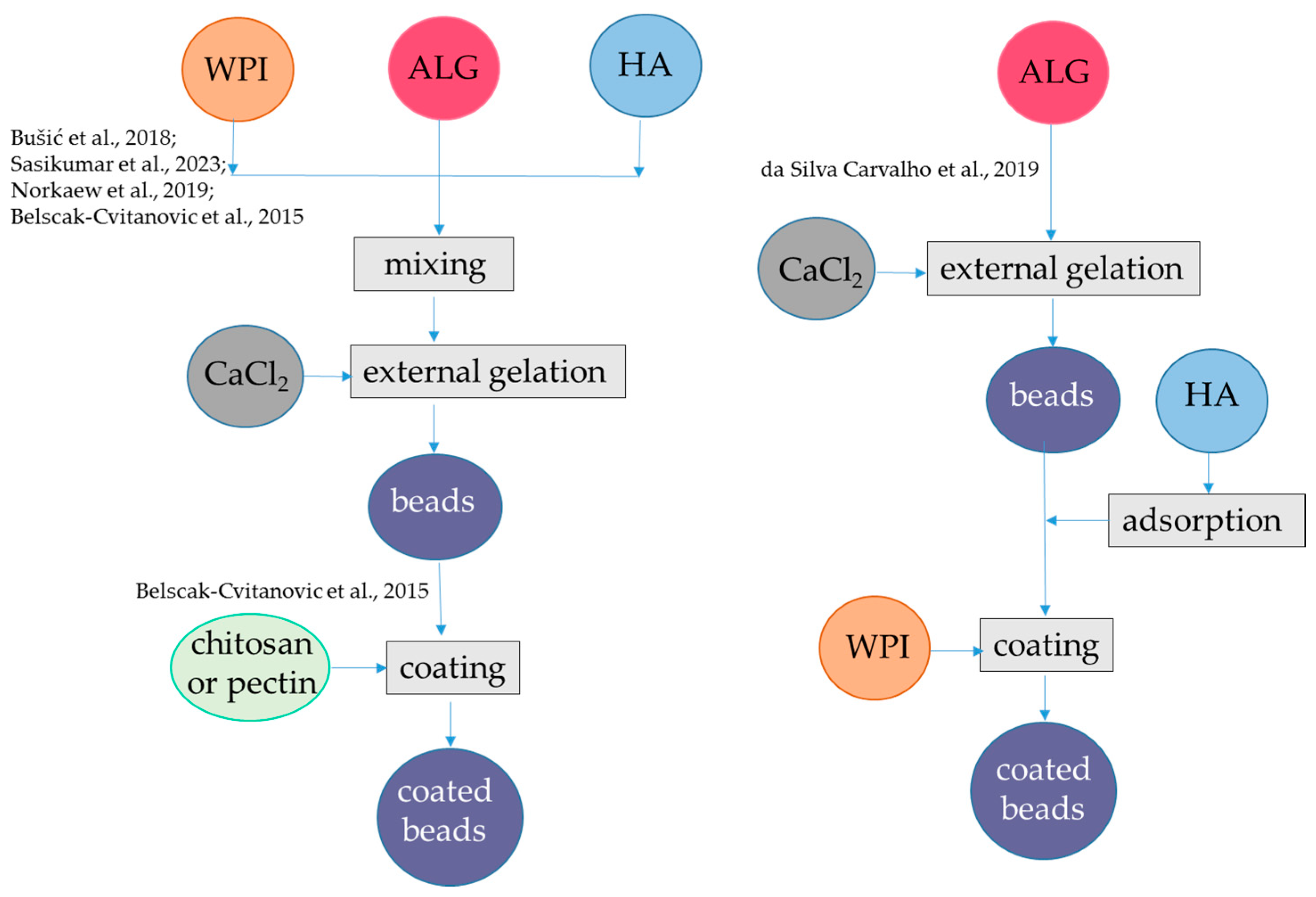 Antioxidants 12 01192 g001