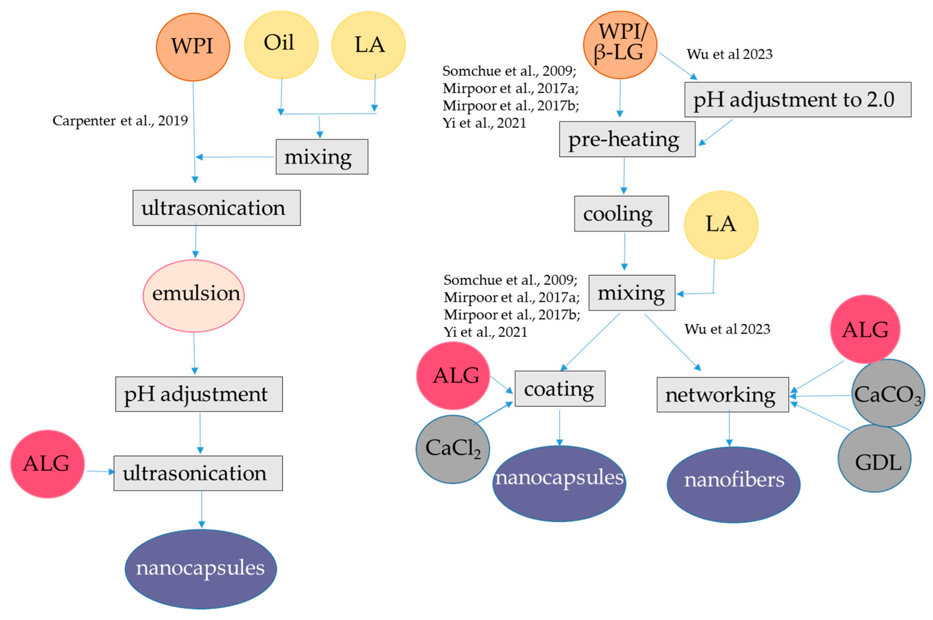 Antioxidants 12 01192 g004