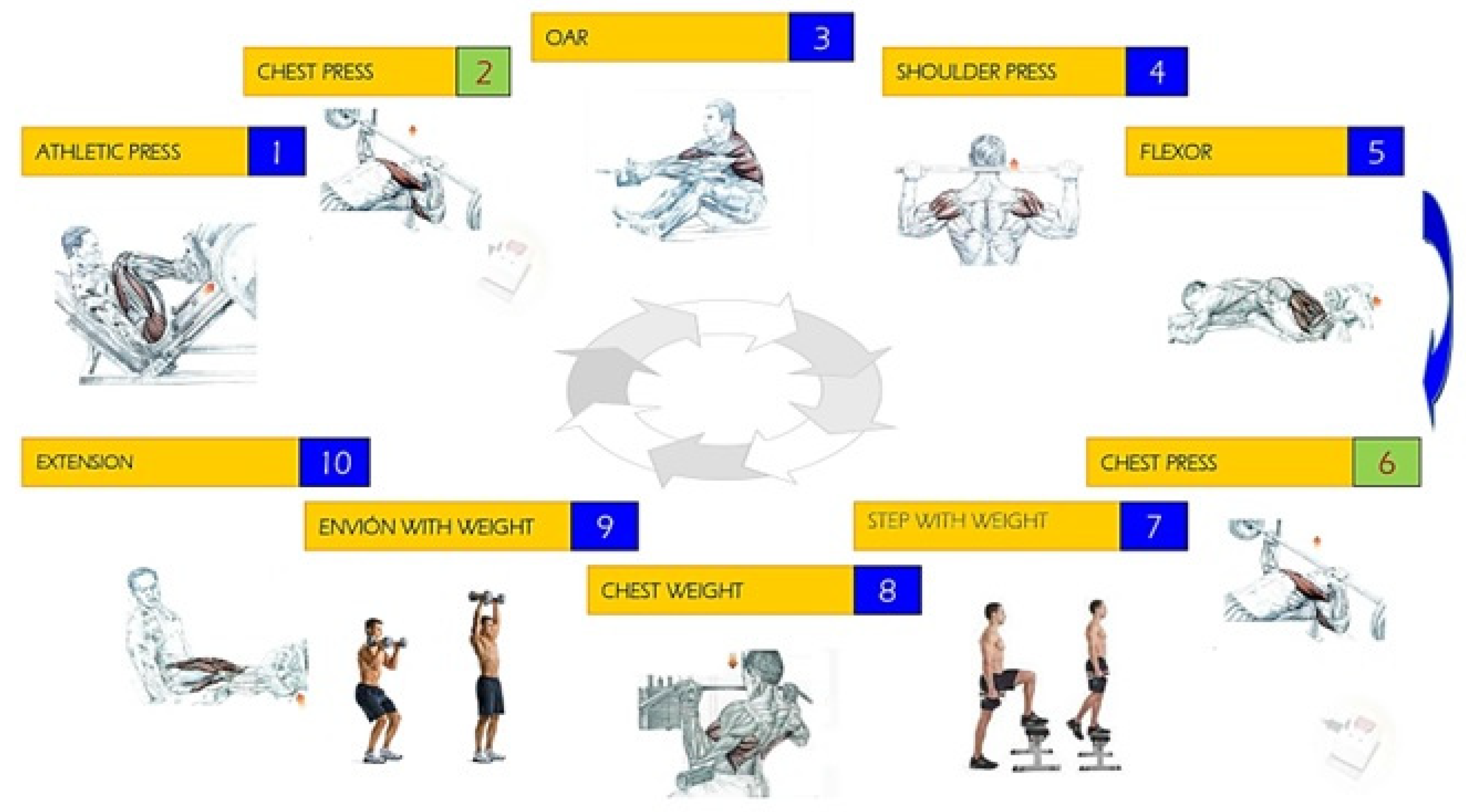 Antioxidants 12 01193 g001
